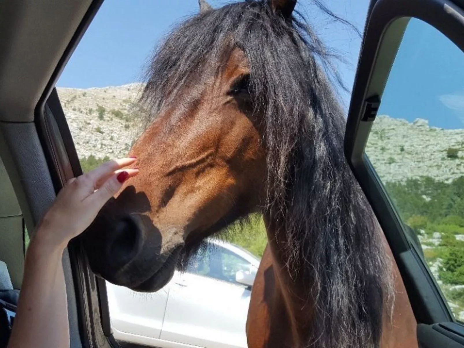 "Paola" mit eigenem Pool-Image-tags.info