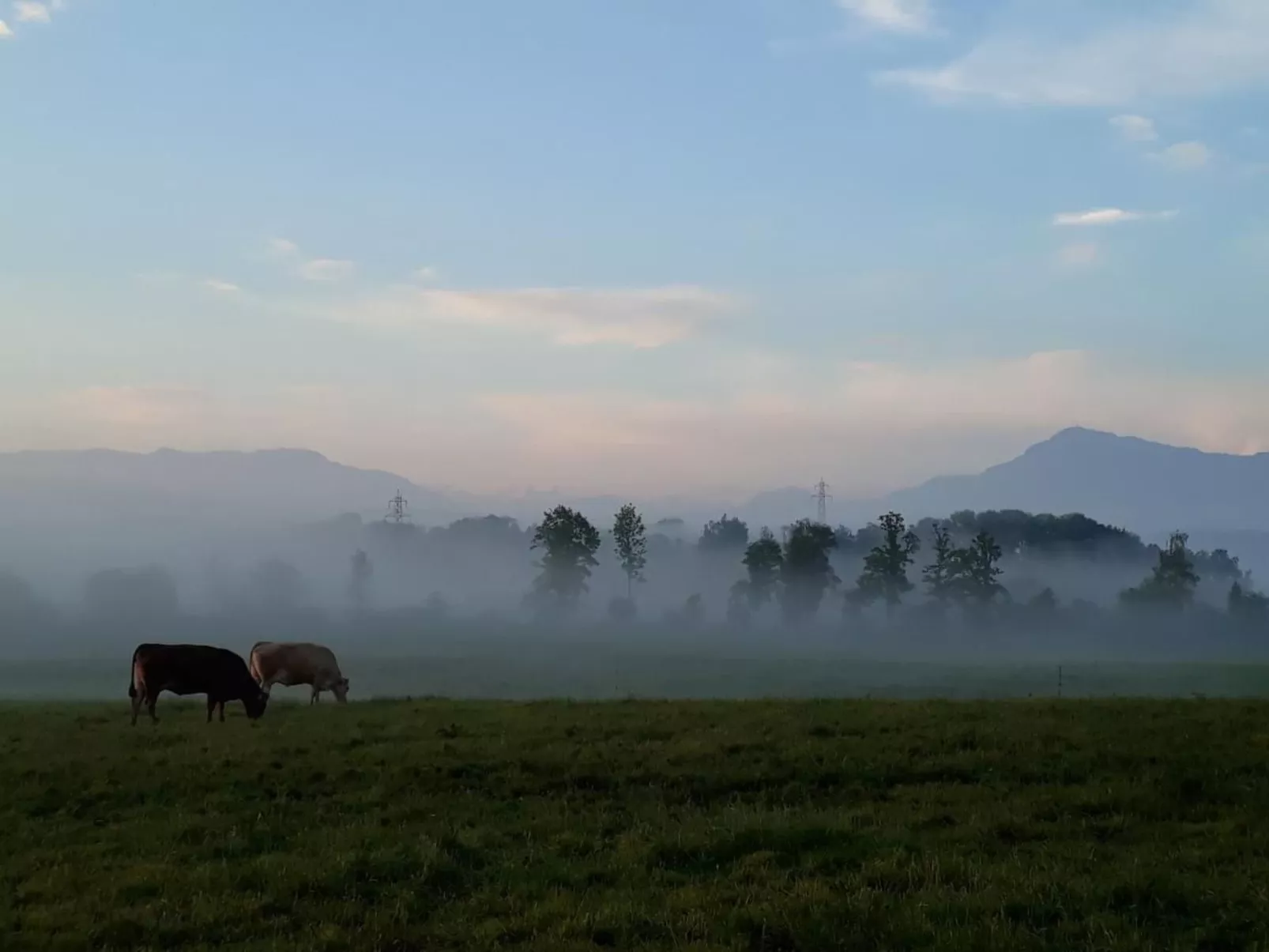 Sidlers Neuhof-Image-tags.info