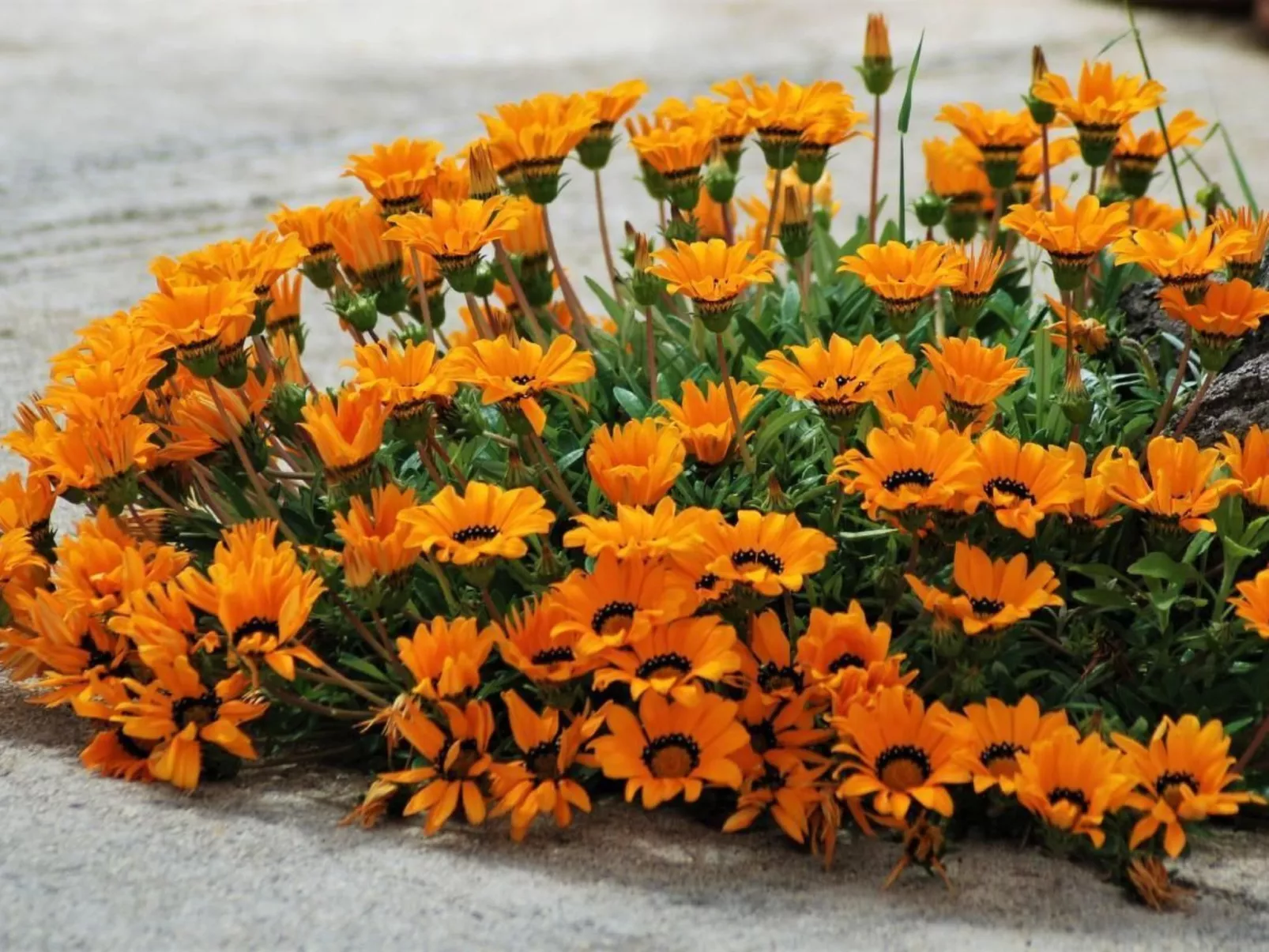 Rustikales Haus in Lukoran mit privatem Parkplatz-Buiten