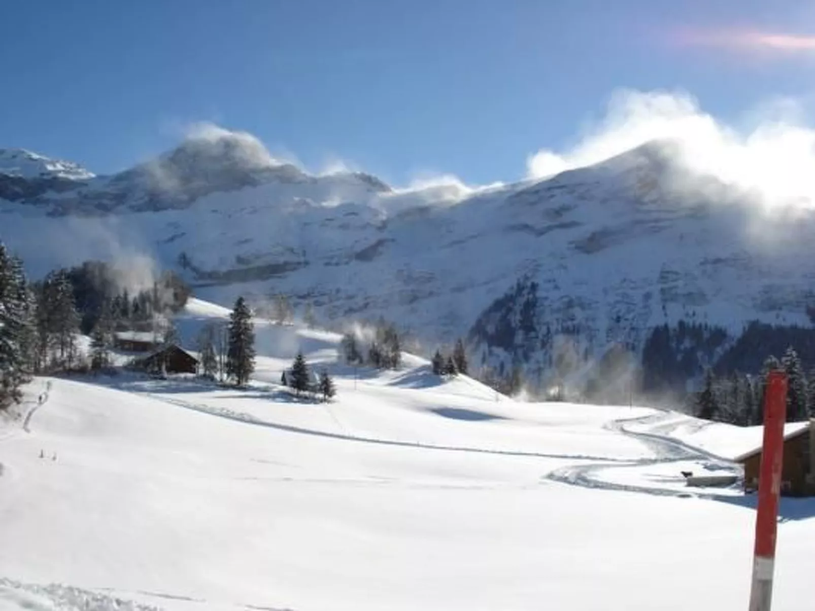 Ferien im grünen links-Buiten