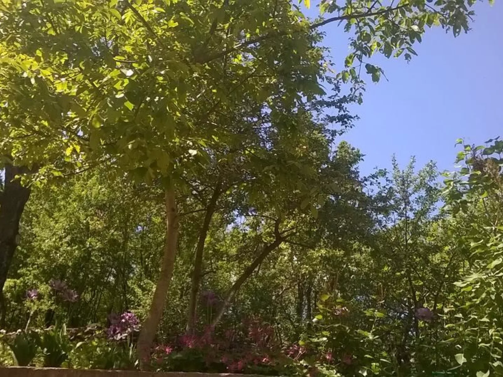 In der Nähe des Meeres und des Sees-Image-tags.info