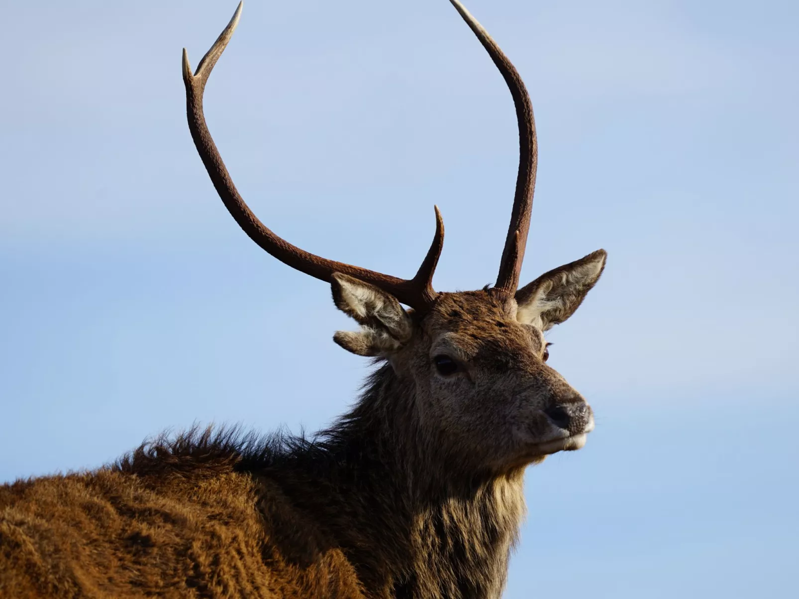West Horizon Ferienhaus-Buiten