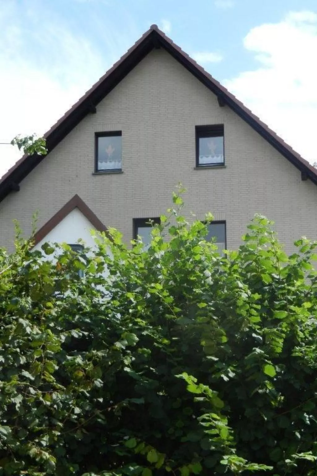 Im Teutoburger Wald-Image-tags.info