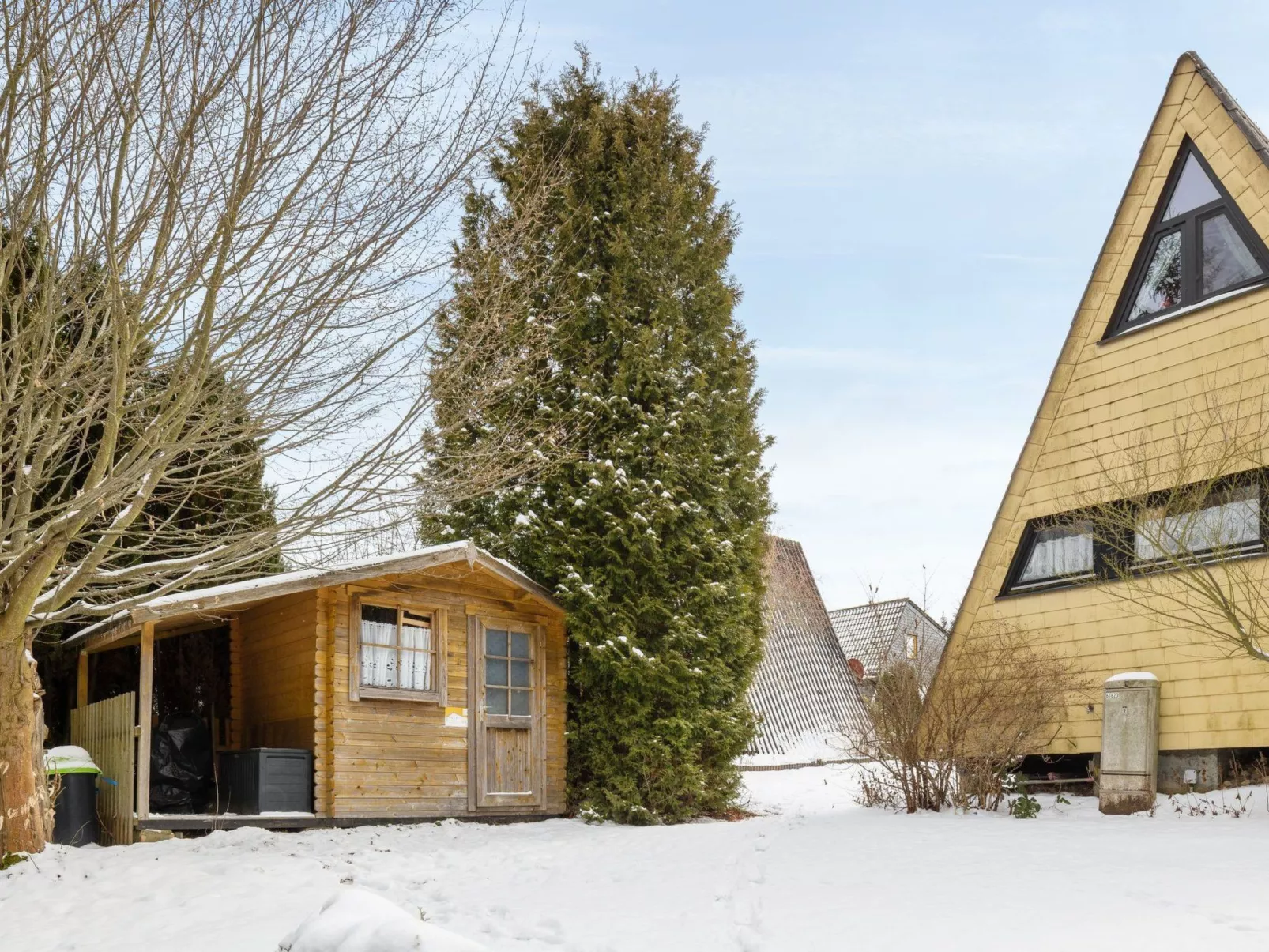 Seyer-Image-tags.info