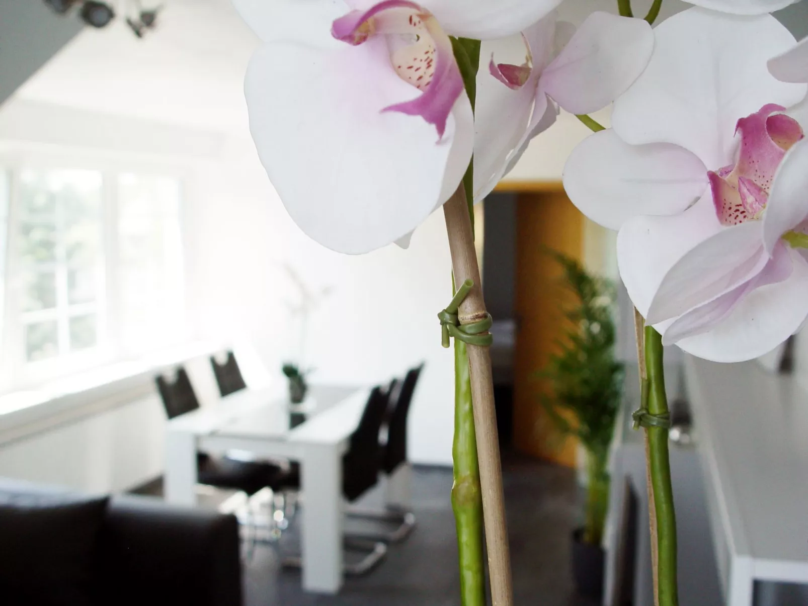 La Domus Premium-Binnen