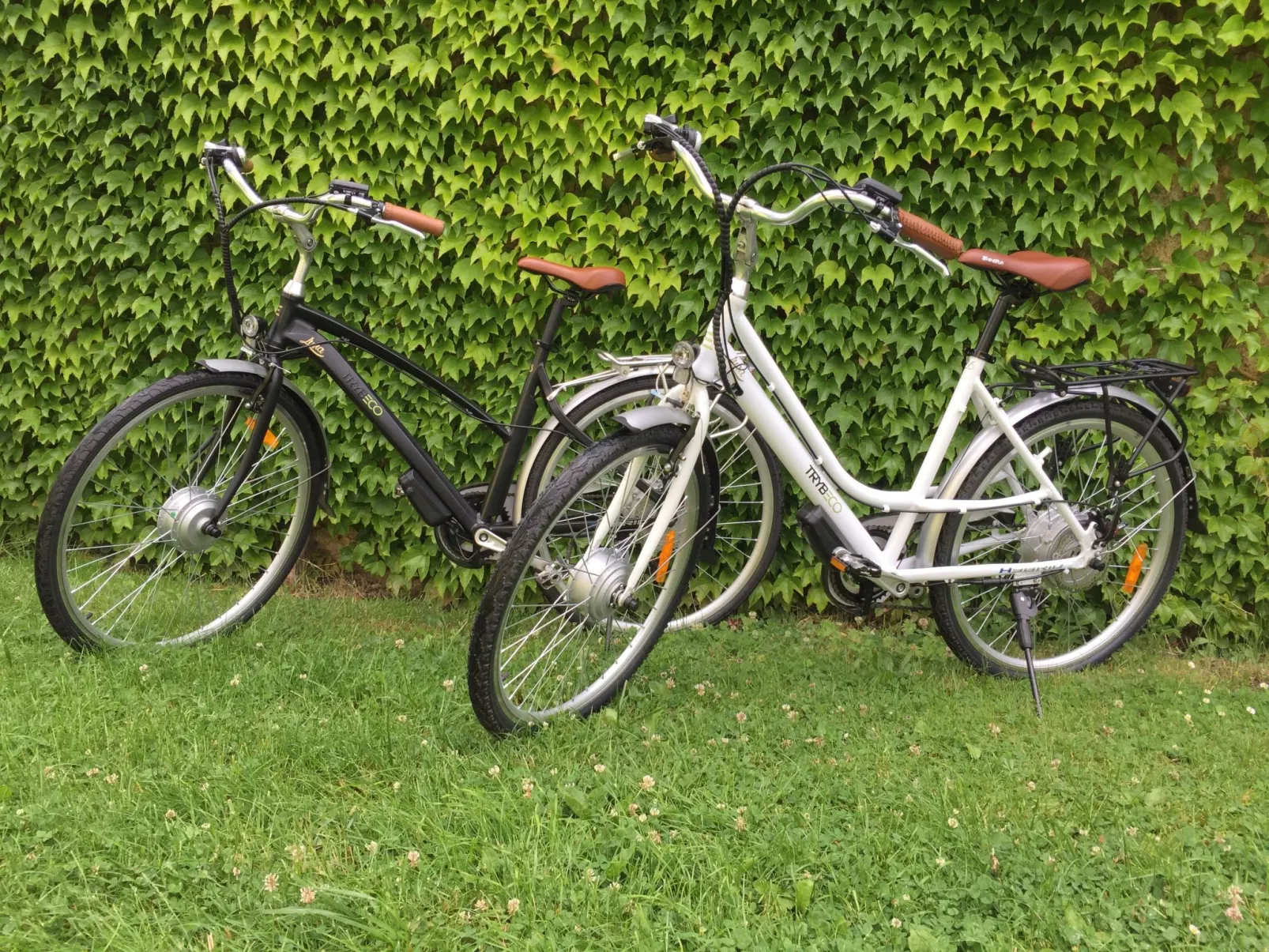 Dom Ogrodnika-Image-tags.info