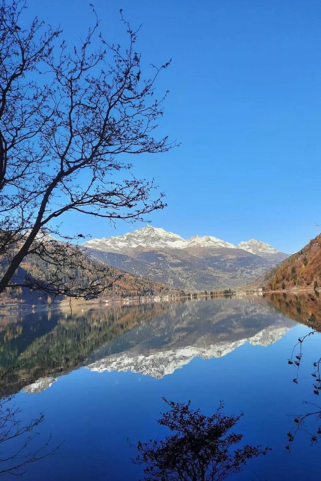 Sonnige 2.5-Zimmer Wohnung an ruhiger Lage-Buiten
