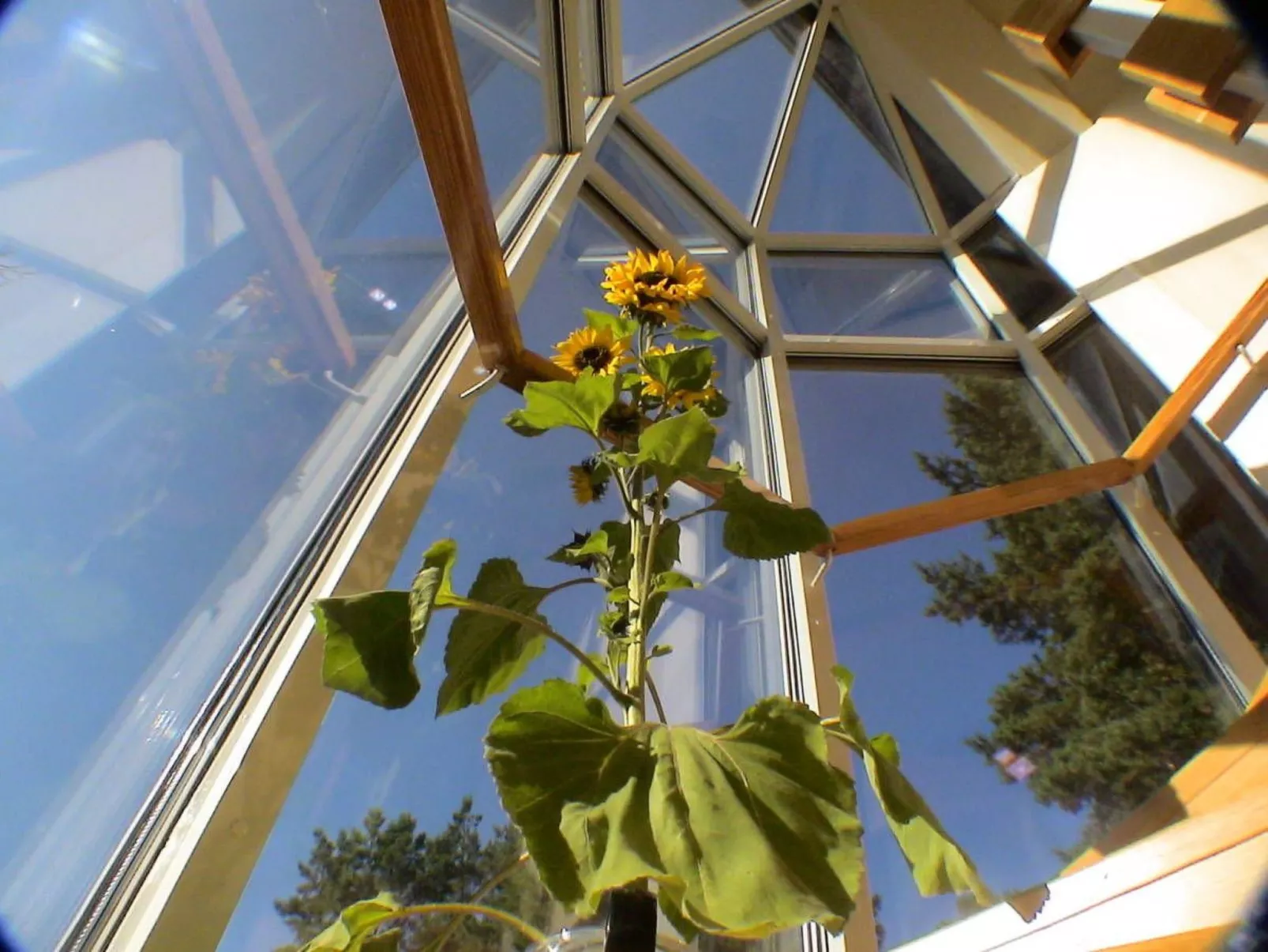 Wellness Ferienhaus Branzez mit Innenpool, Sauna.. - Image-tags.info