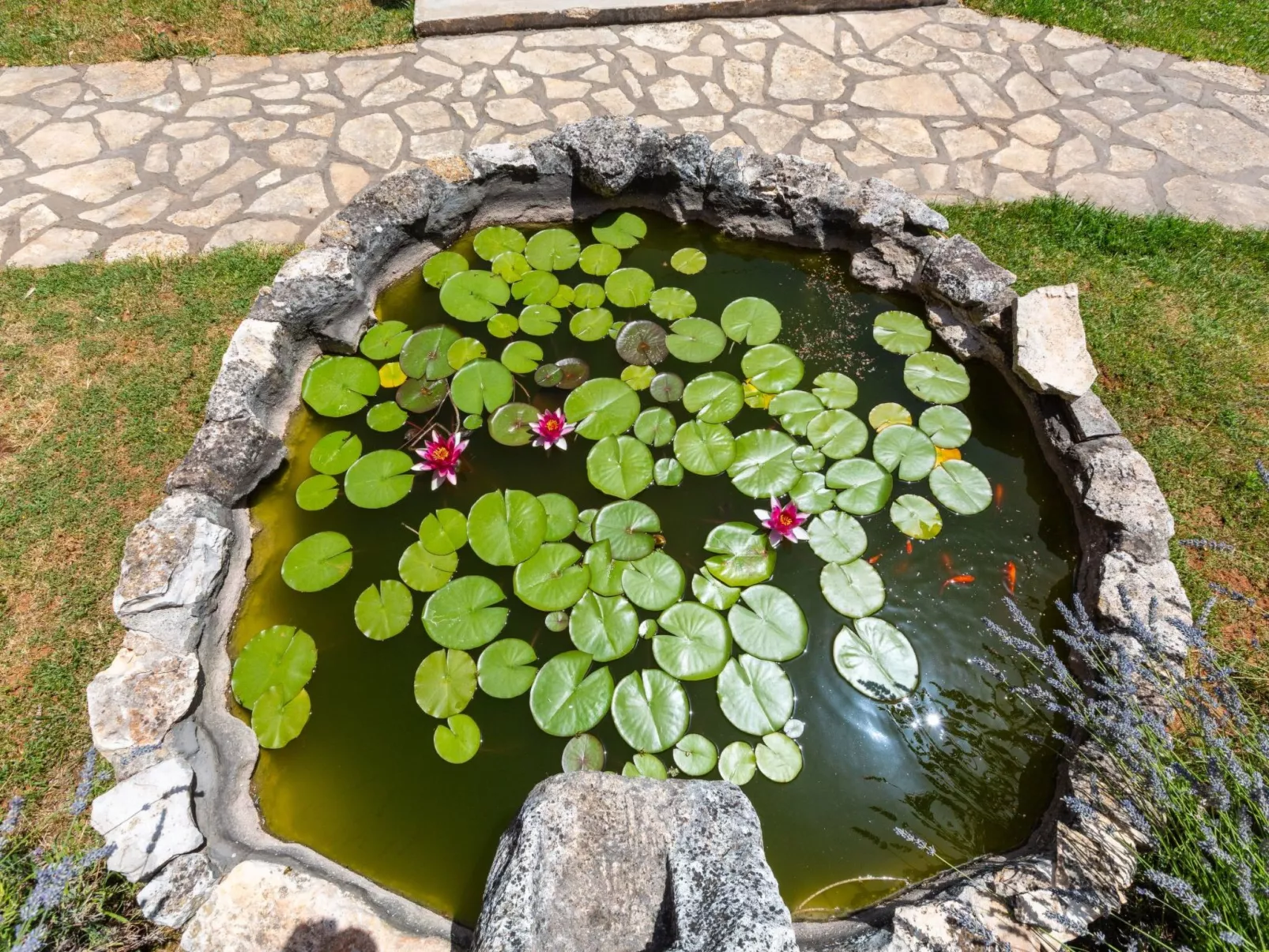 "Lilo Lavender" mit Whirlpool-Buiten