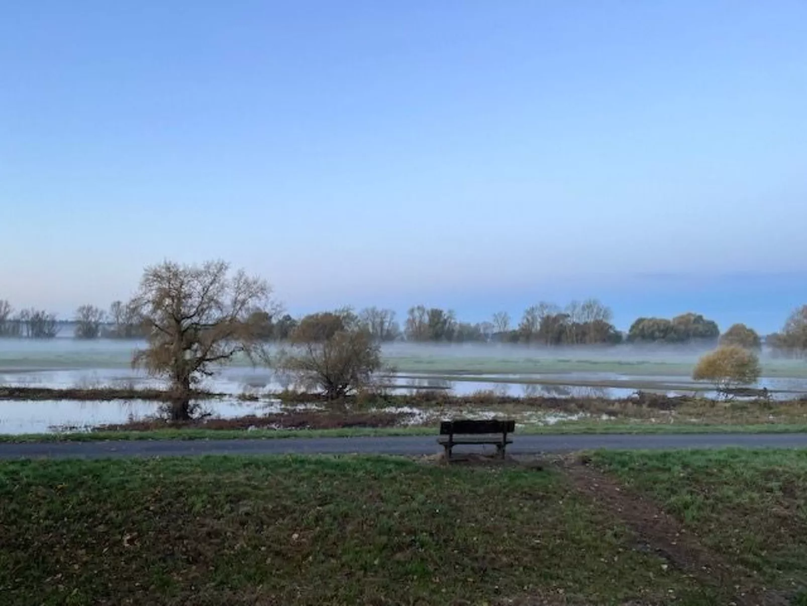 Haus Elbrose inmitten von Rosen mit Elbdeichzugang-Buiten