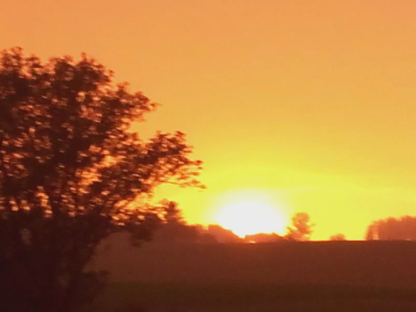 Wohnung mit großer Gartenterrasse und Ausblick-Buiten