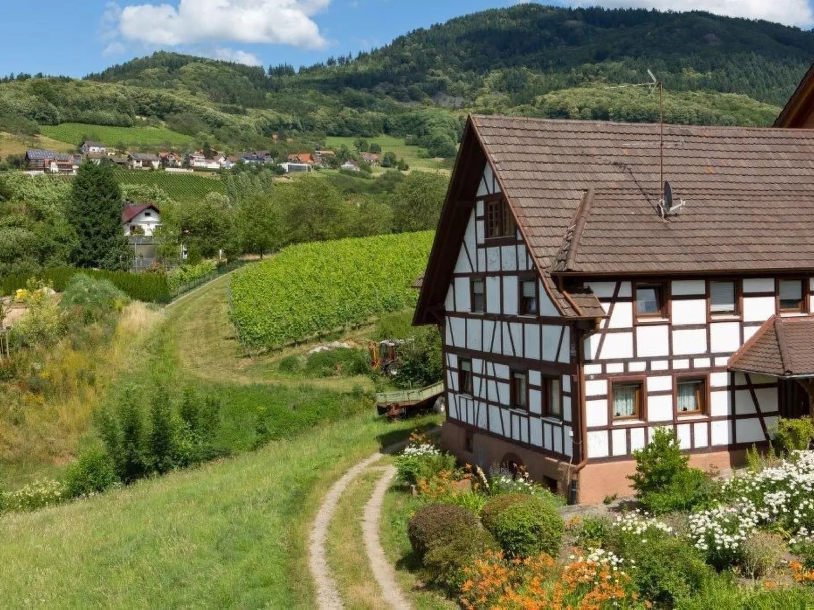 Exklusives Ferienhaus mit besonderer Ausstattung-Buiten