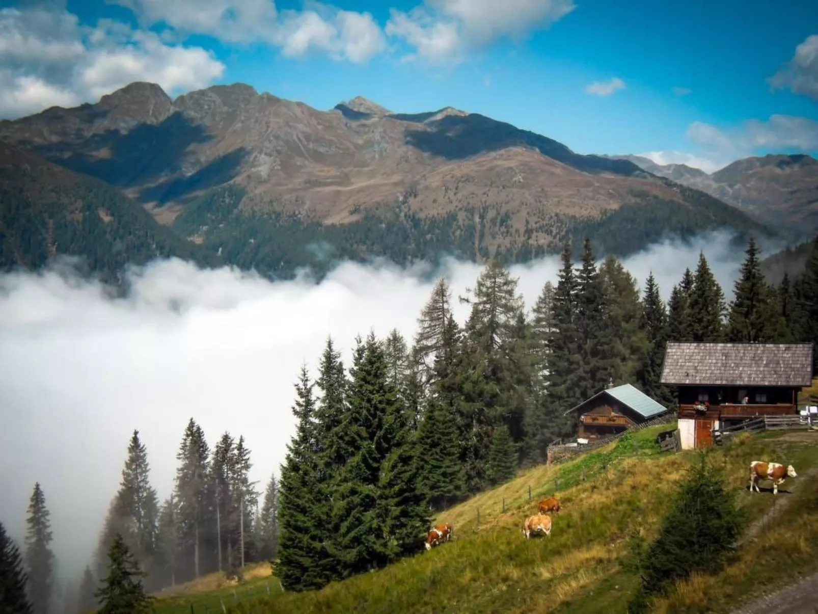 Almhütte Enzian-Buiten