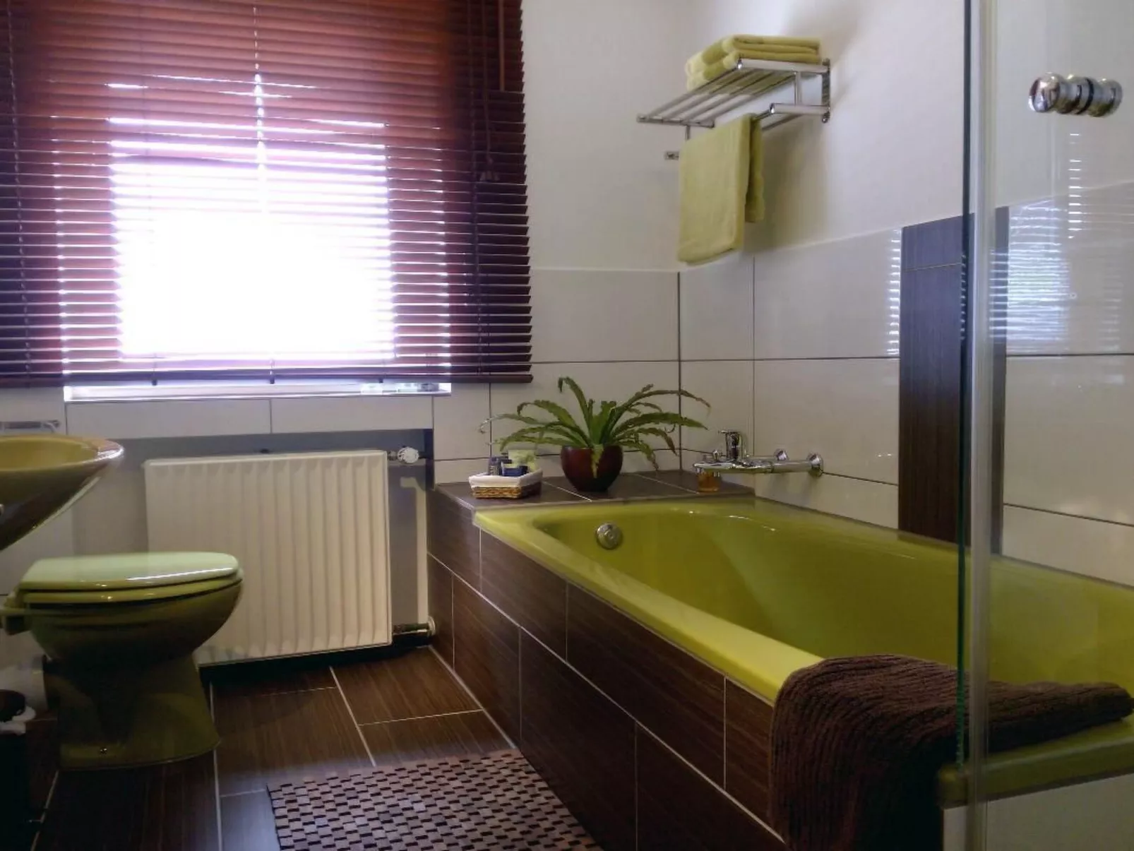 Mit Balkon und Rheinblick-Binnen