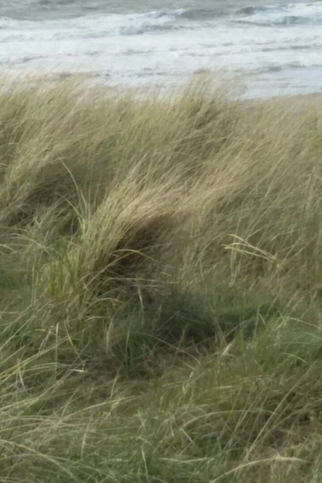 Hilda-Image-tags.info