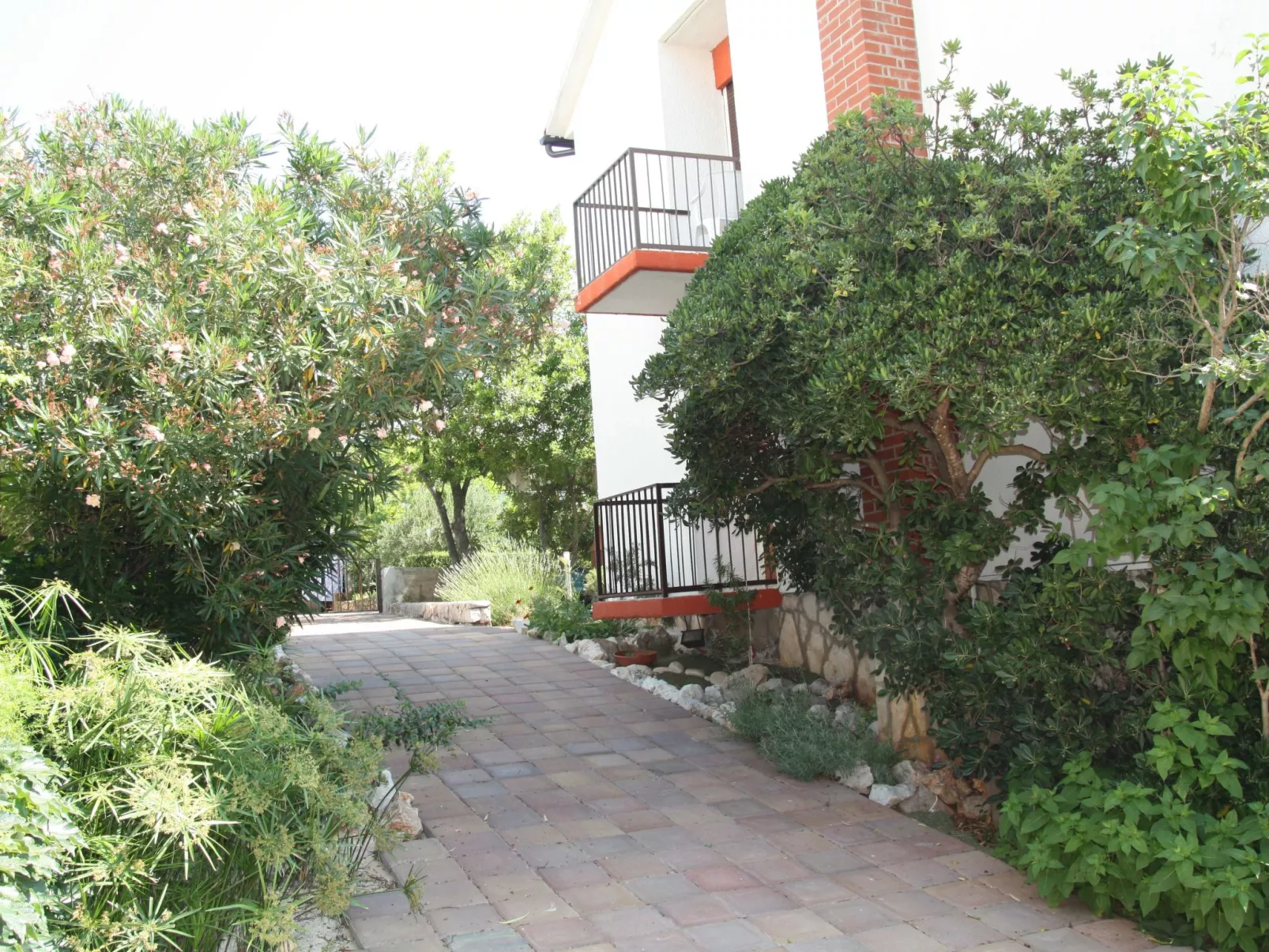 Komplex Oliva mit Pool und großem Garten-Buiten