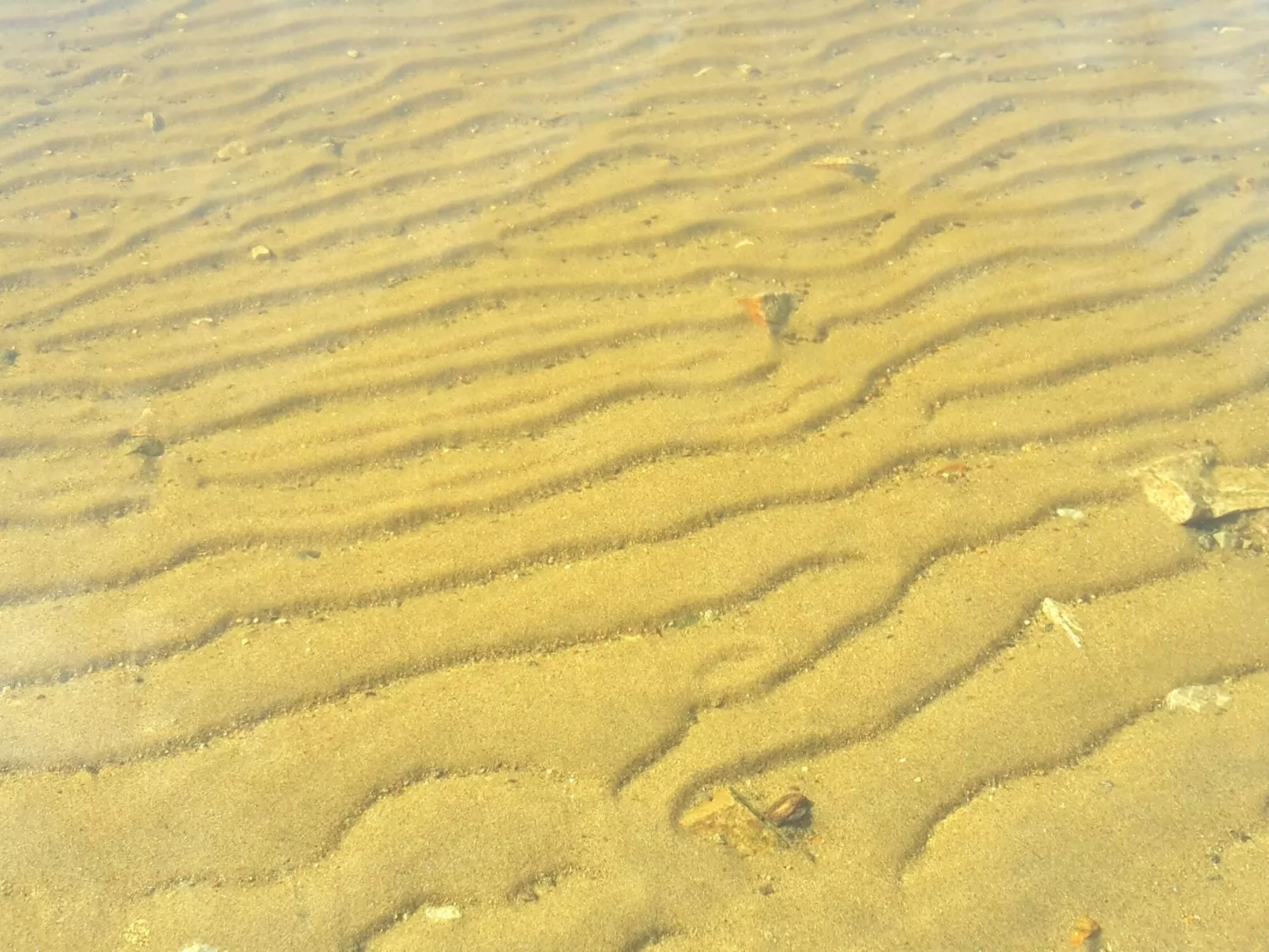 Haus Laura, Frymburk-Buiten