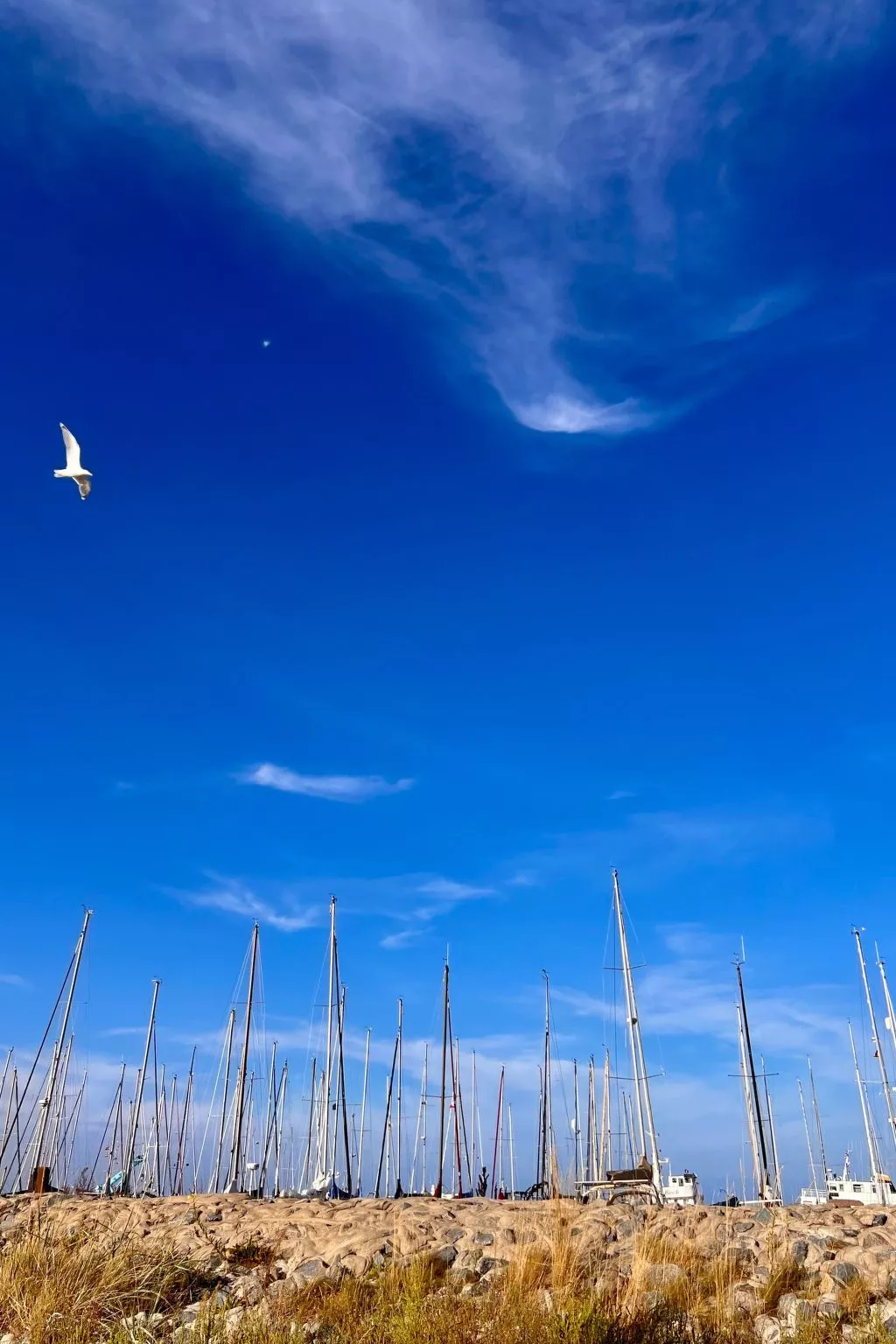Stormy im Nauticum-Buiten