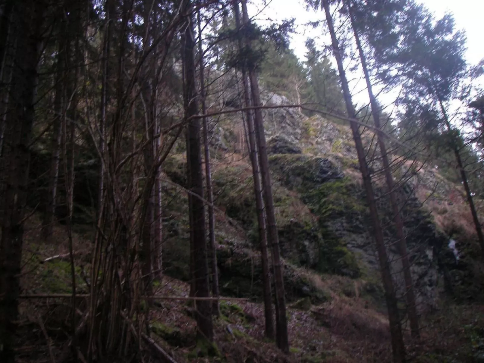 Haus "Hermann"-Buiten