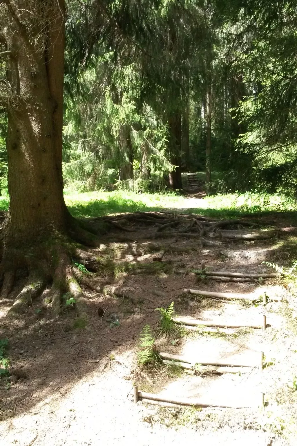 Für 6 Personen im Thüringer Wald-Buiten