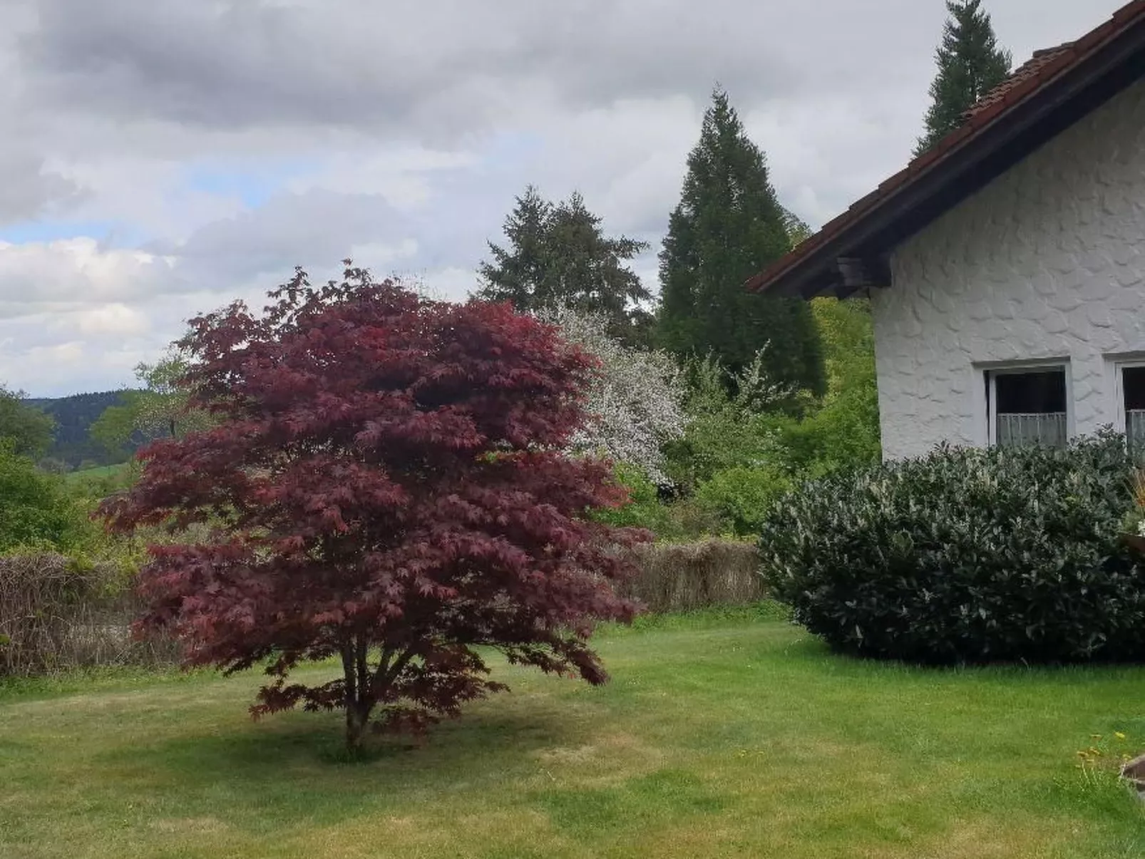 Schwarzwaldglück-Image-tags.info