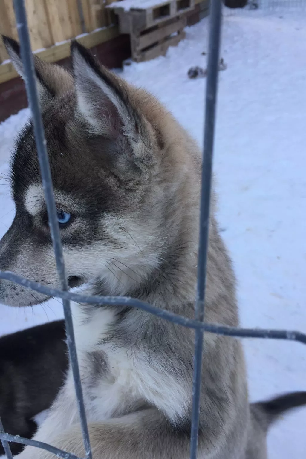 Ferientagheim Hammarstrand-Image-tags.info