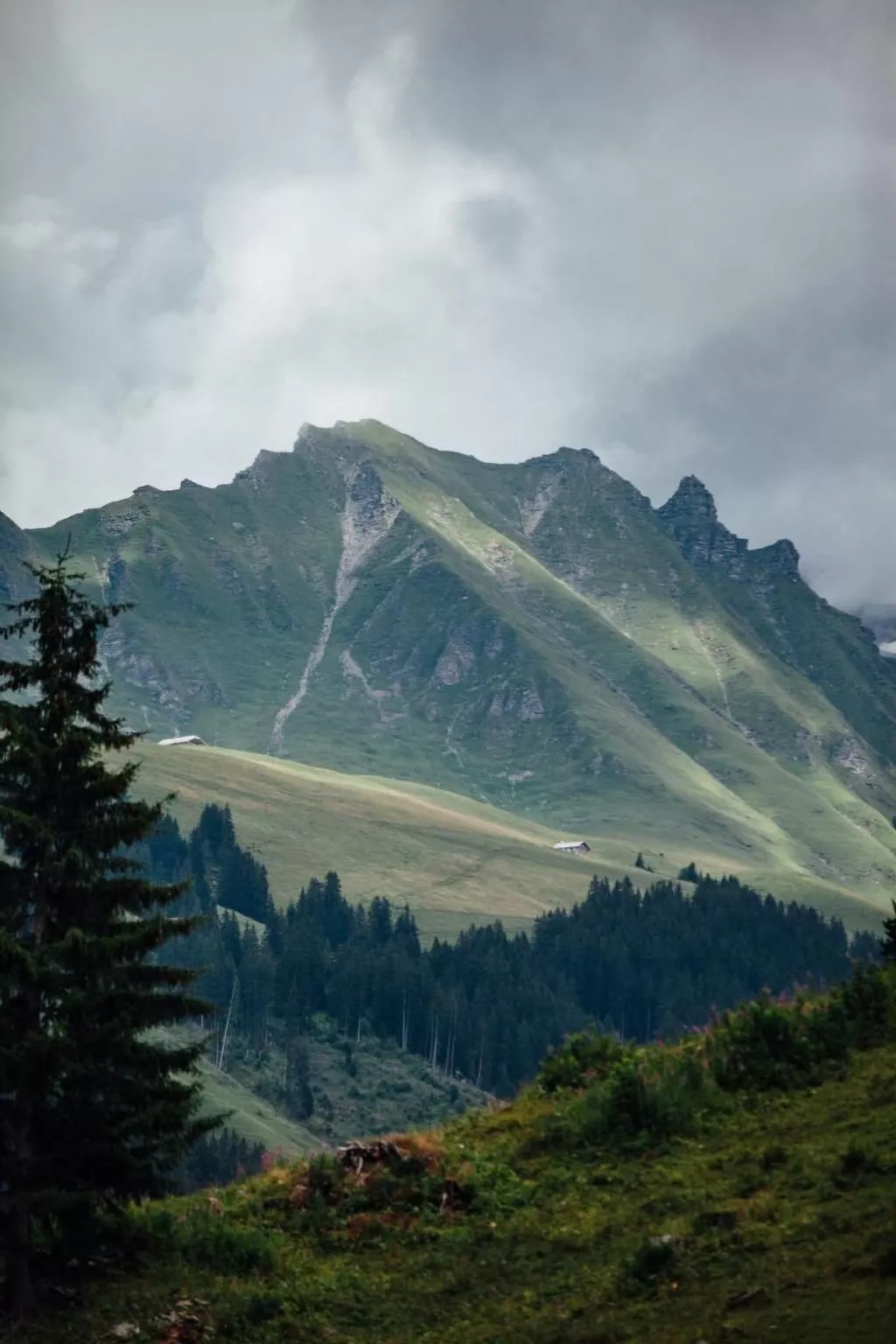 Alphütte Lenk-Gstaad-Image-tags.info