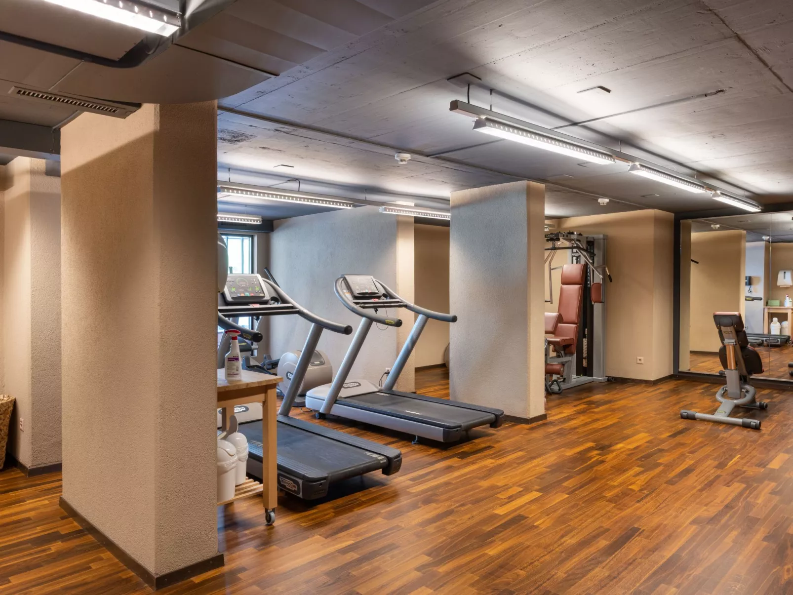 Wohnung Edelweiss direkt in 4 Sterne Hotel-Binnen