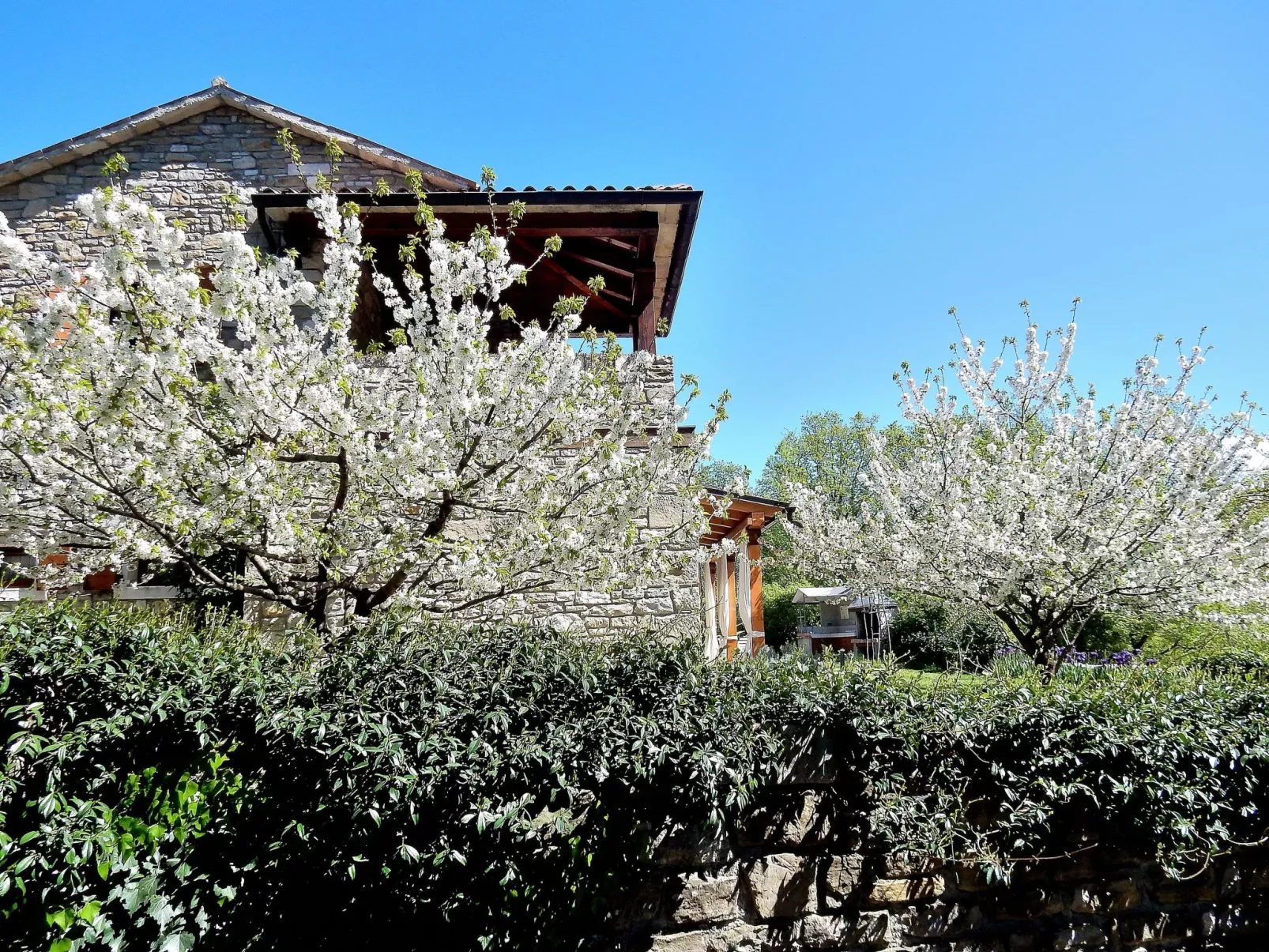 Mit privatem Pool-Buiten