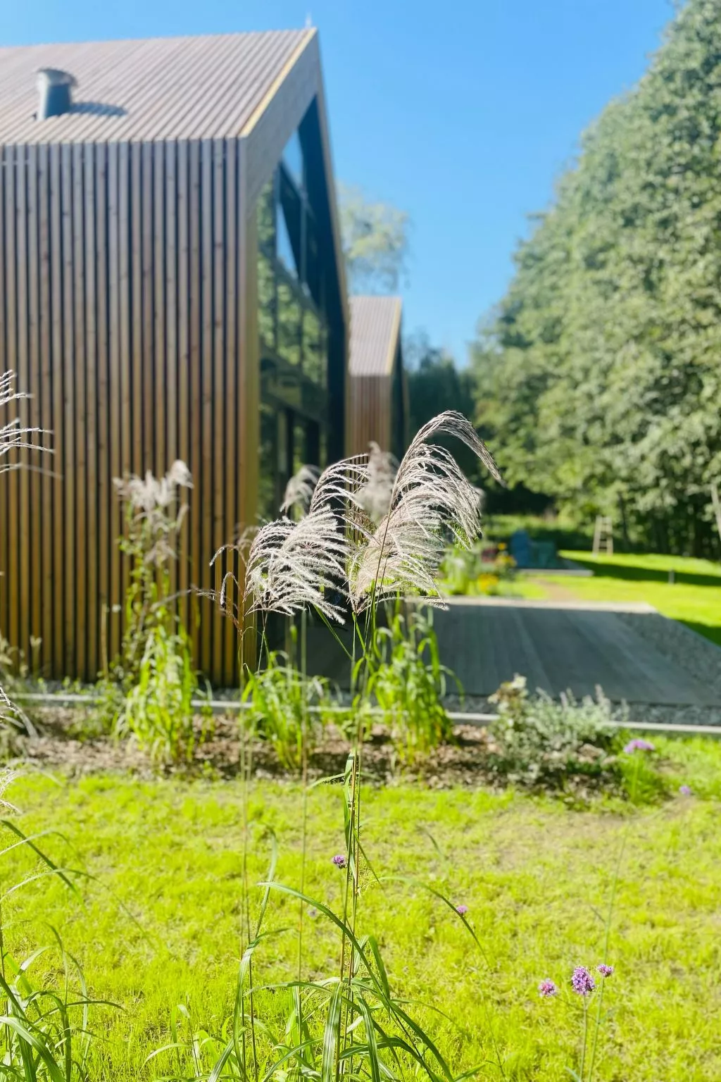 Sasino Park 22-Buiten