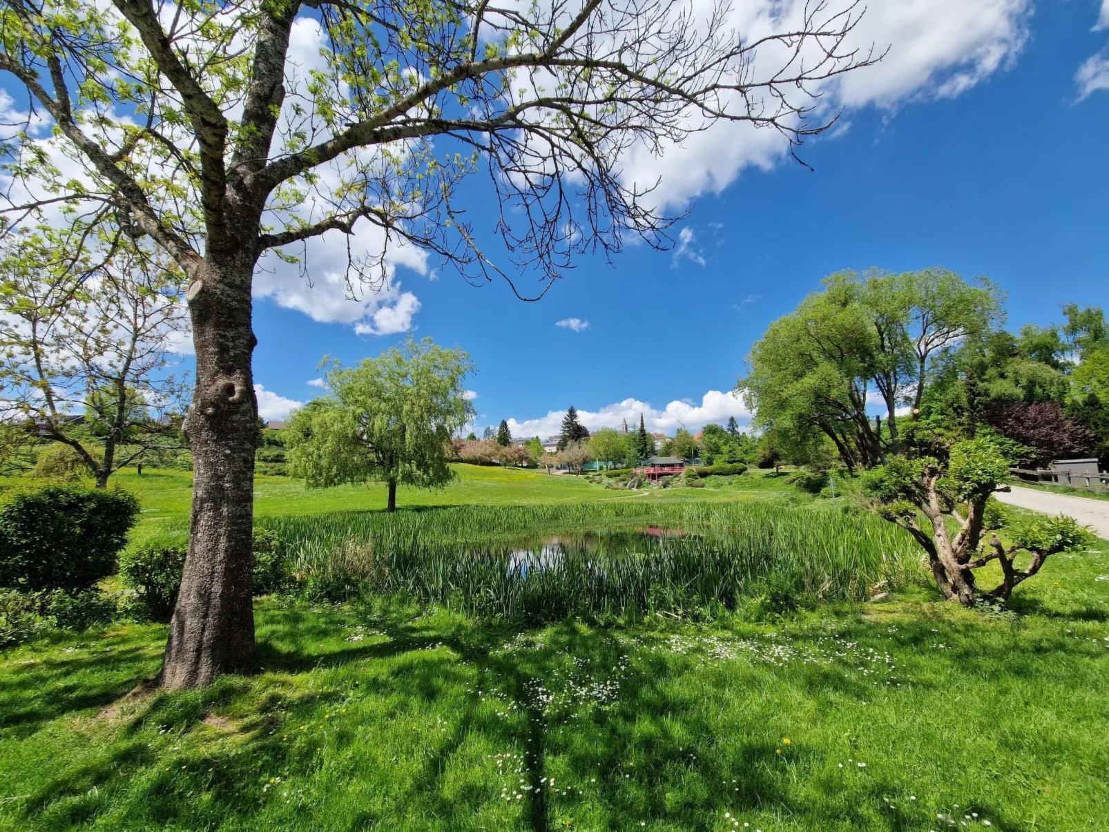 Lufs Loft für 6 Pers-Buiten