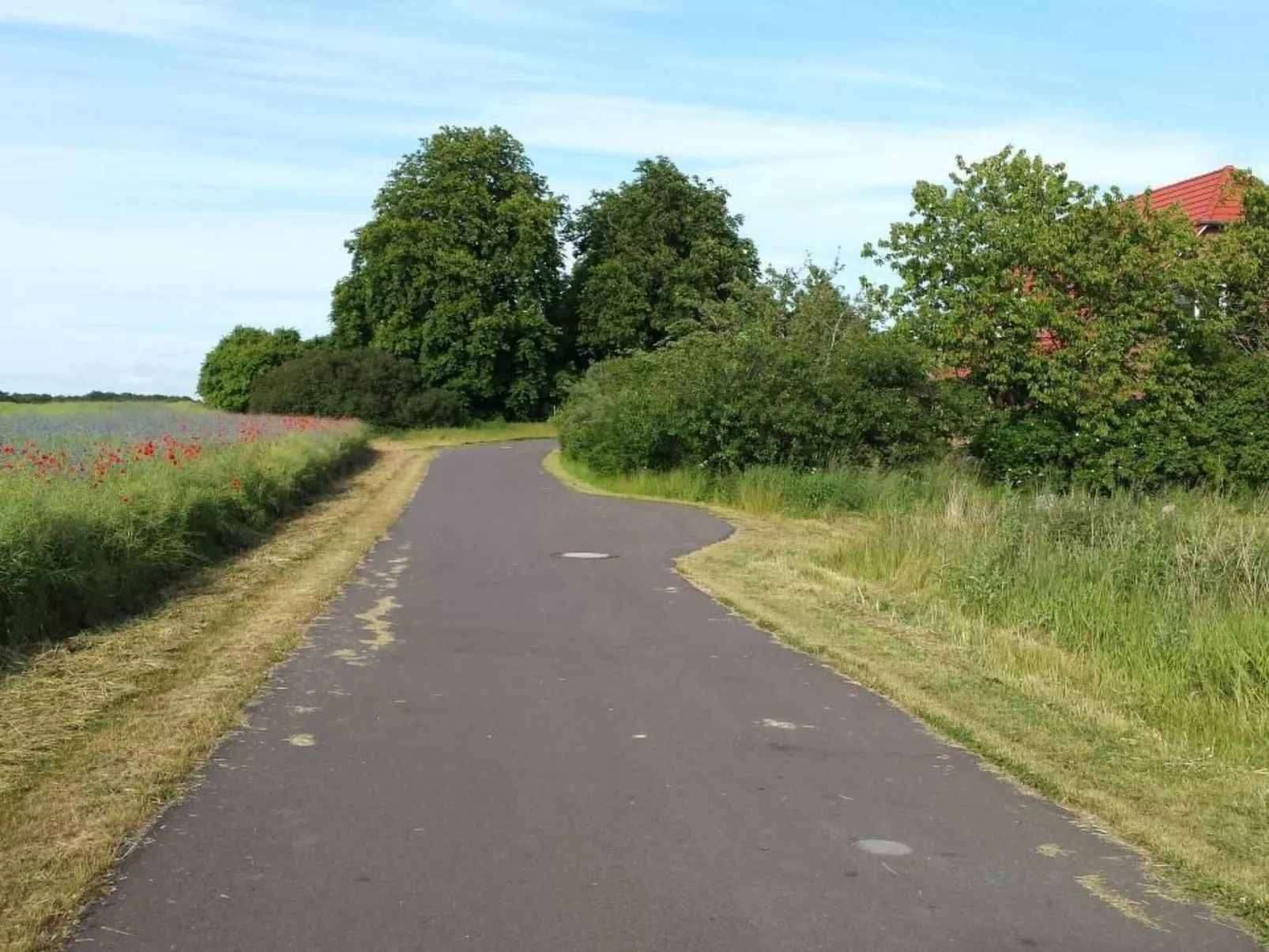 Schwalbennest-Buiten