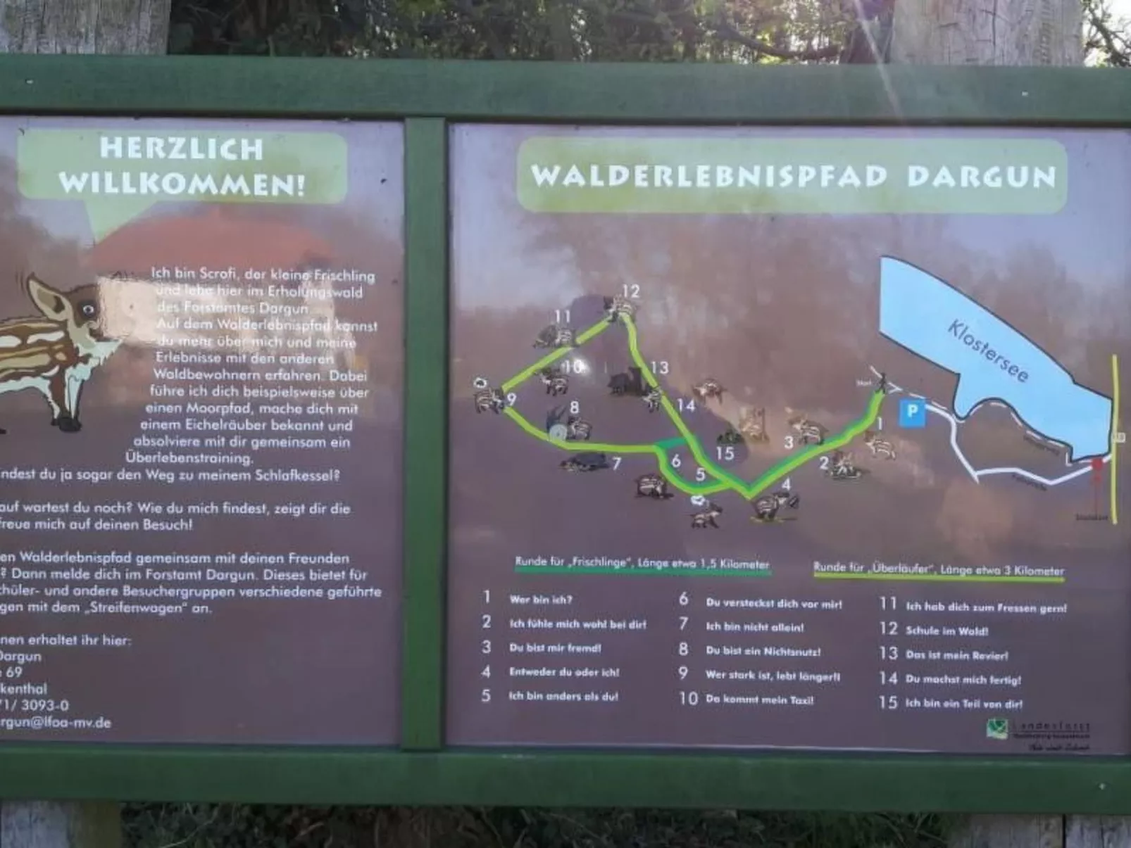 Ferienhaus Claire am Klostersee Urlaub mit Hund-Buiten