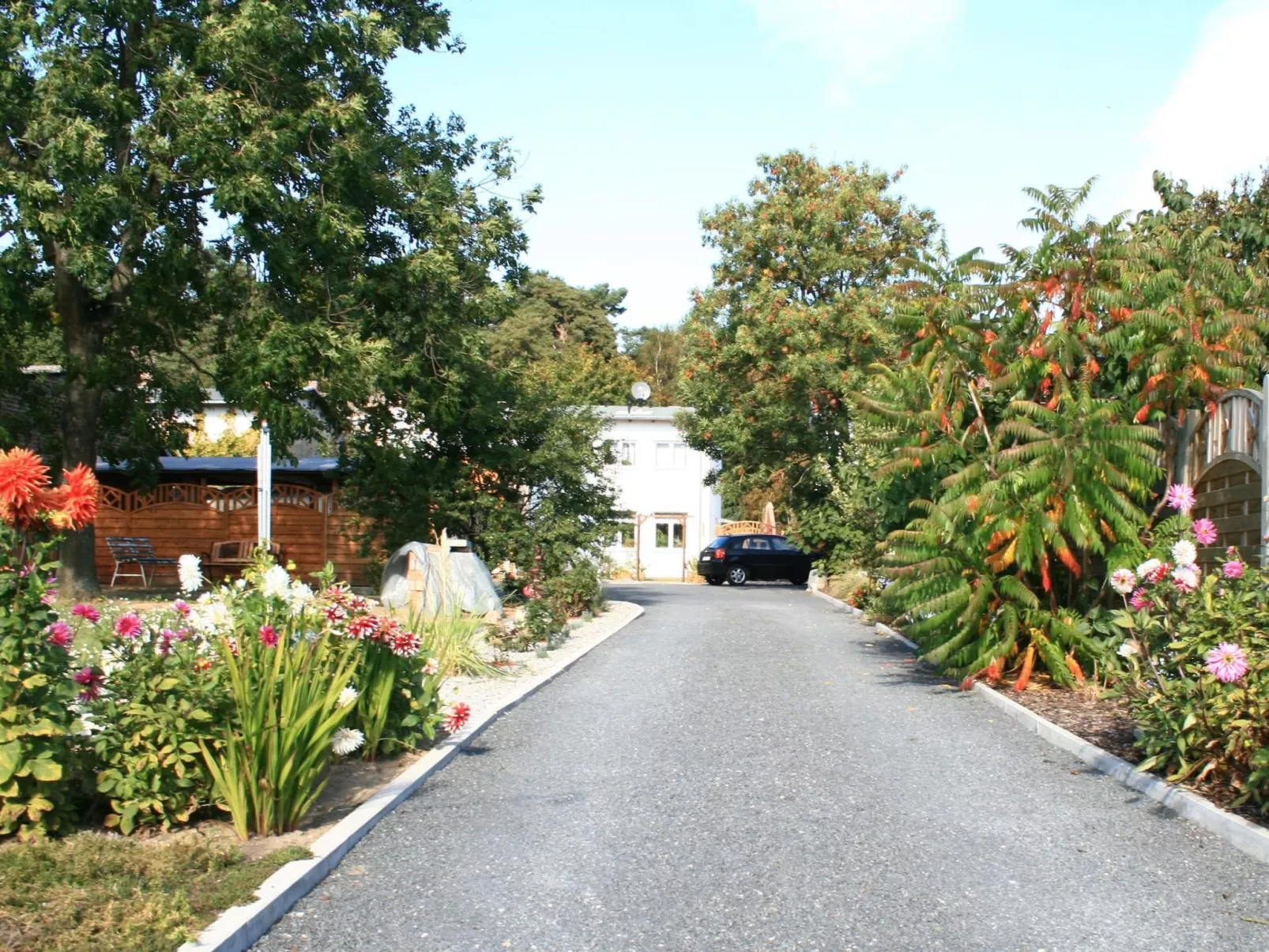 Fewo Waldblick EG-Buiten