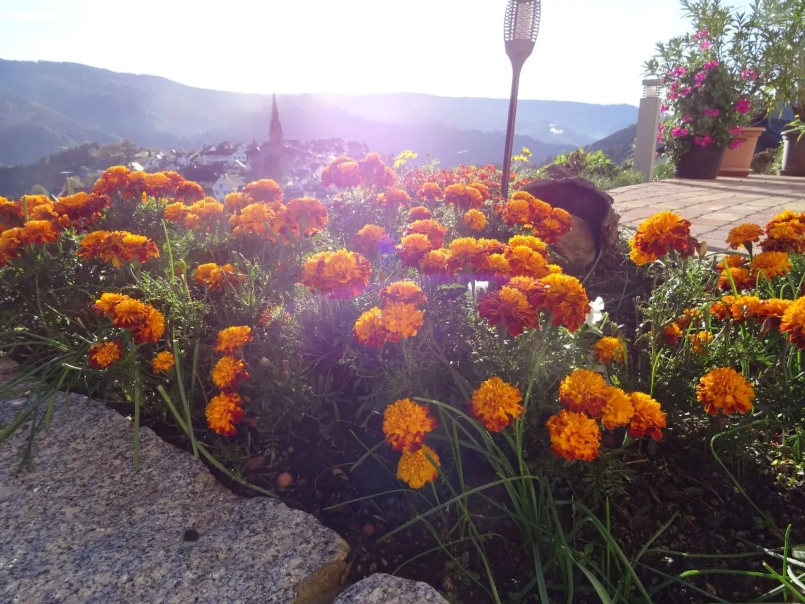 Am Keschtewaeldele - Buiten