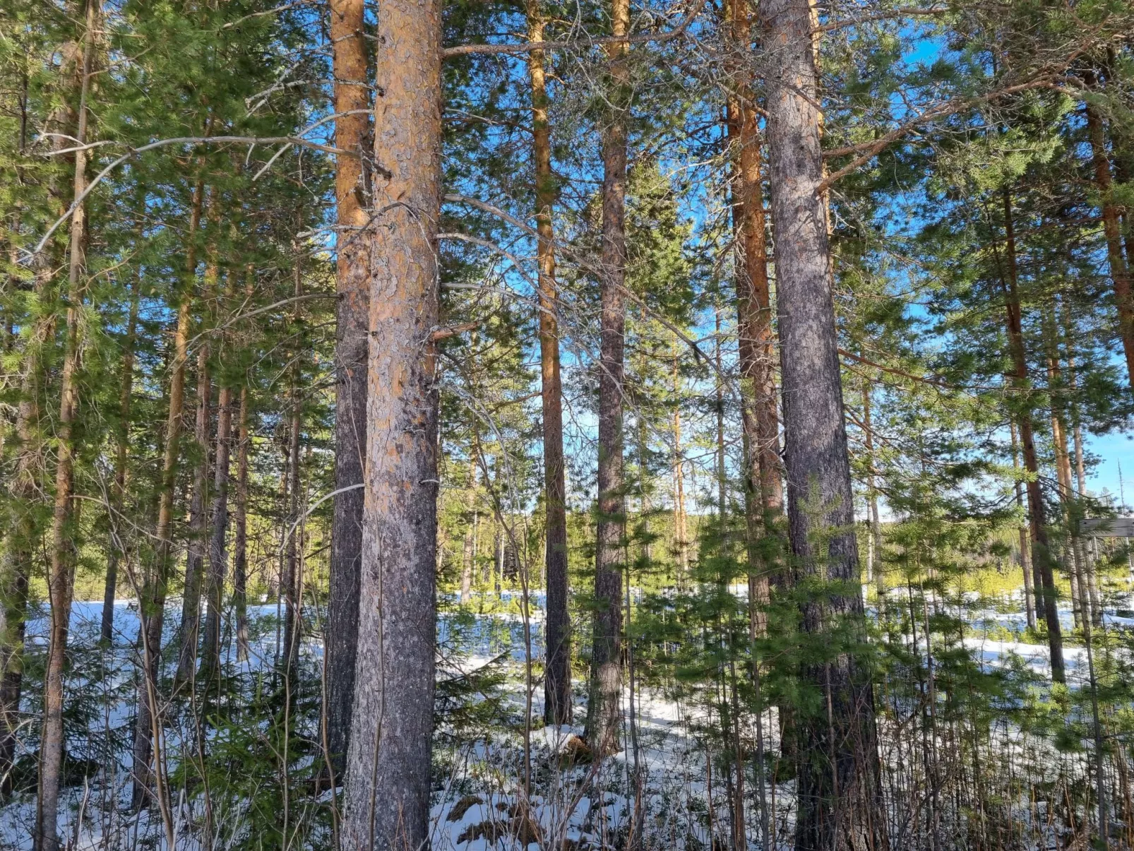 Villa Eni-Image-tags.info