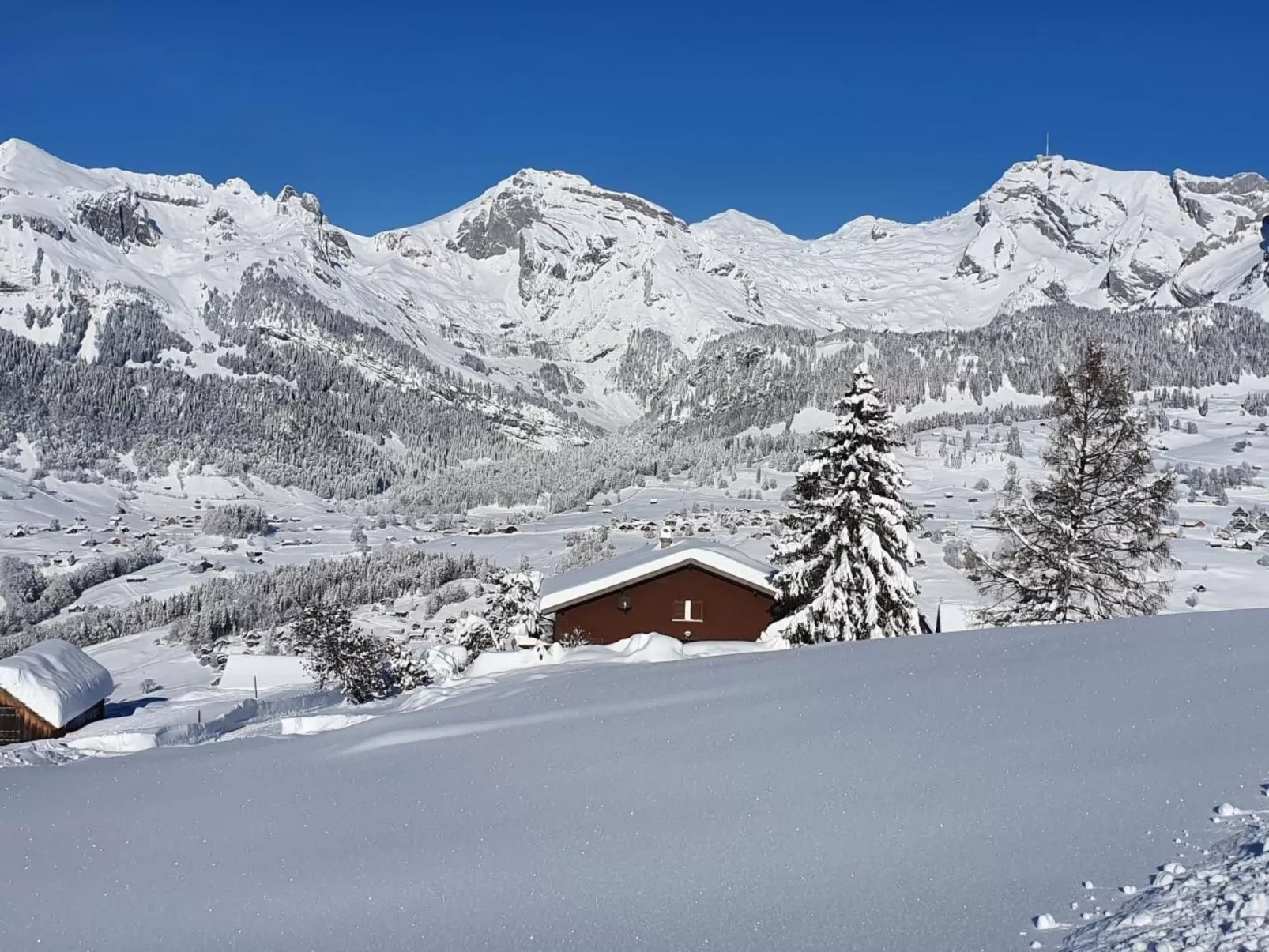 Oberguet-Image-tags.info