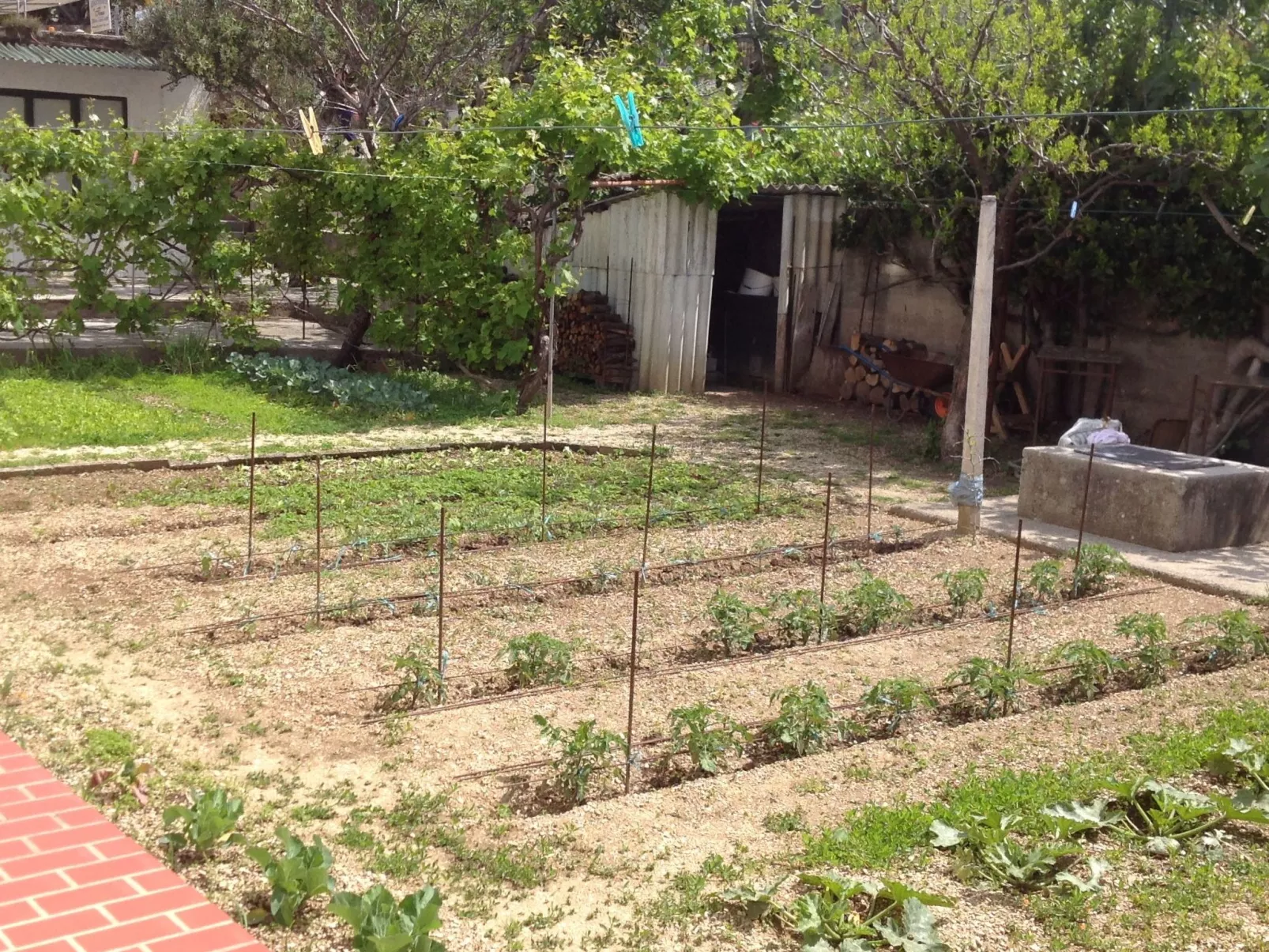 Wohnung 2 mit Meerblick-Image-tags.info