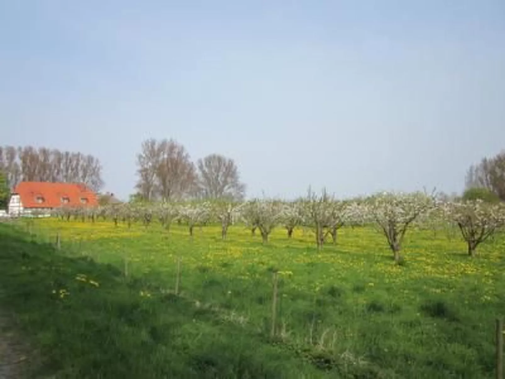 Bauernhaus auf Rügen-Image-tags.info
