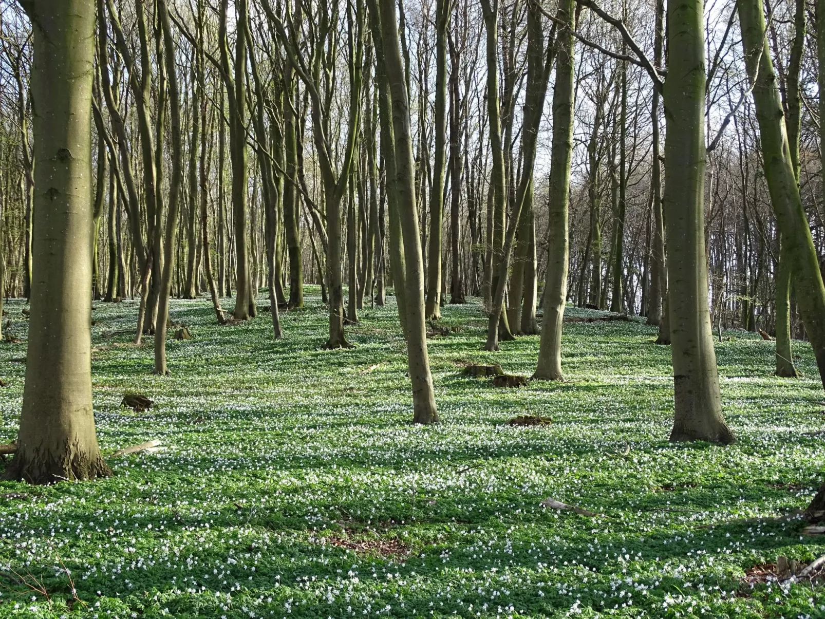 Ferienwohnung-Buiten