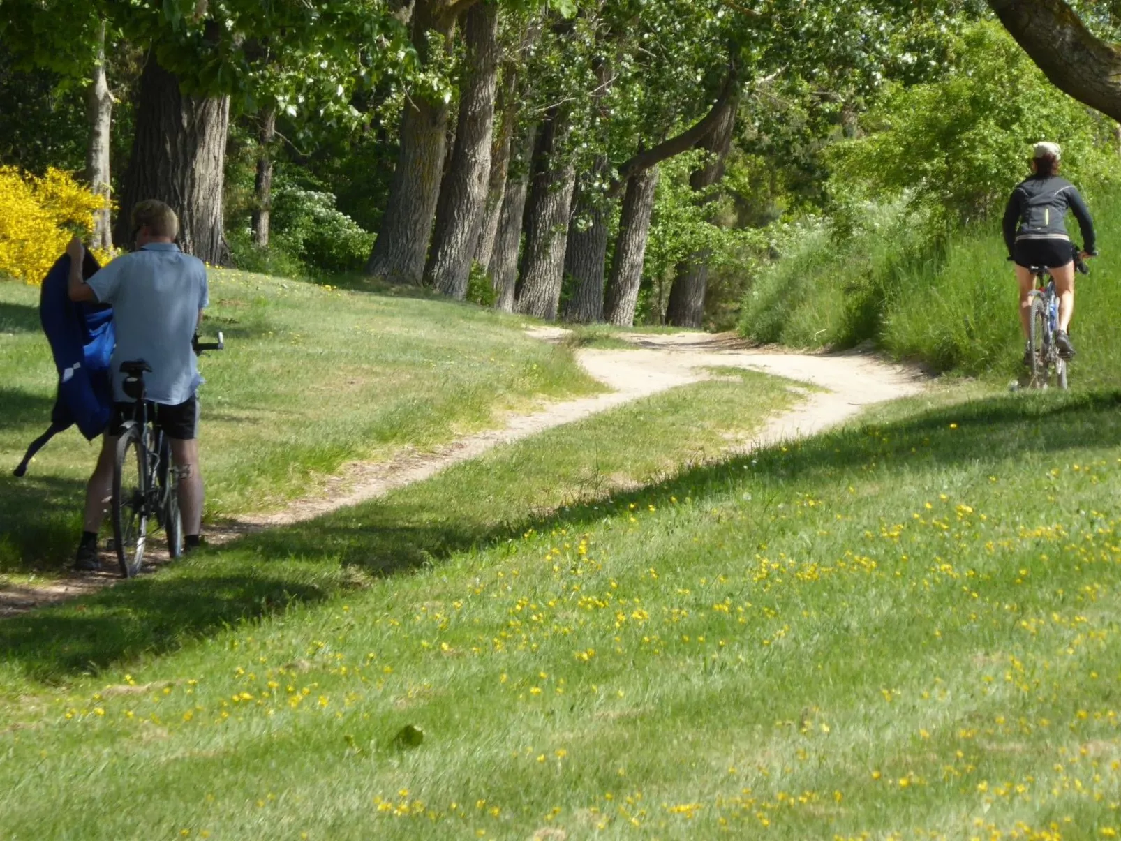 Hochwertige Ferienwohnung in Gingst-Buiten