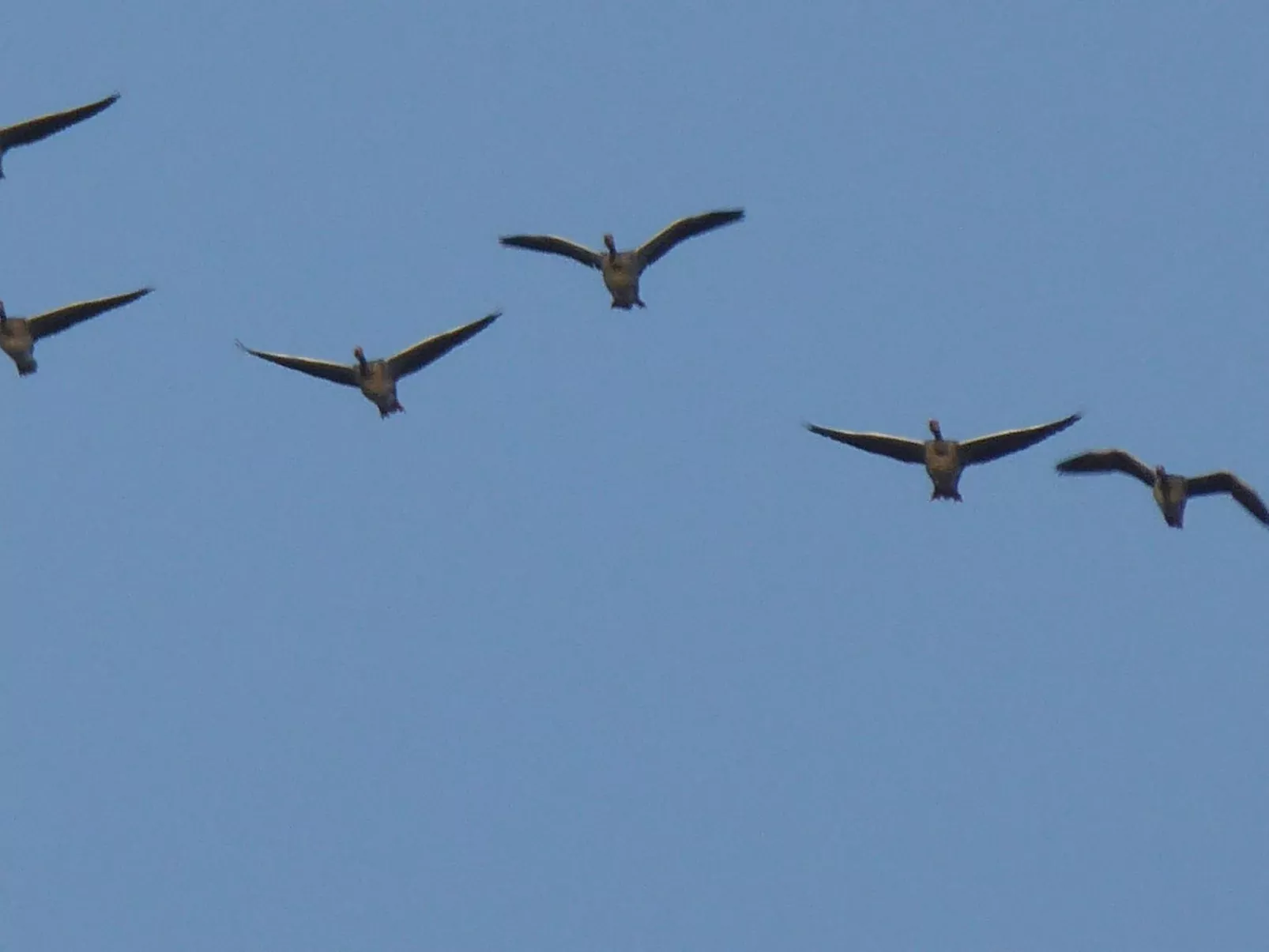 Parterre WEST-Buiten