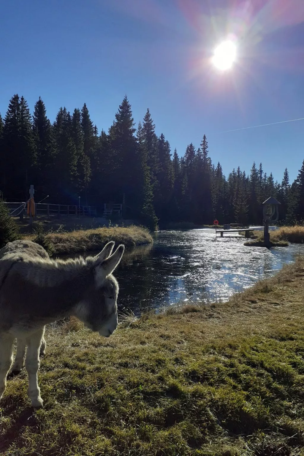 Lachtalhütte-Buiten
