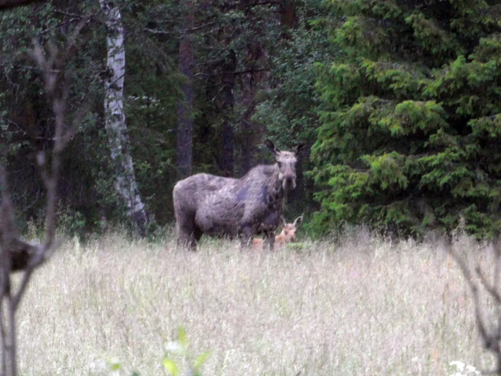 Haus-Lappland-Image-tags.info