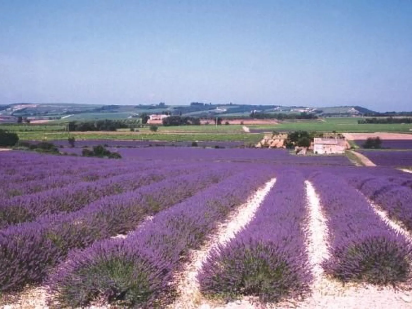 Provençal Privates Schwimmbad, Haustiere willkommen-Buiten