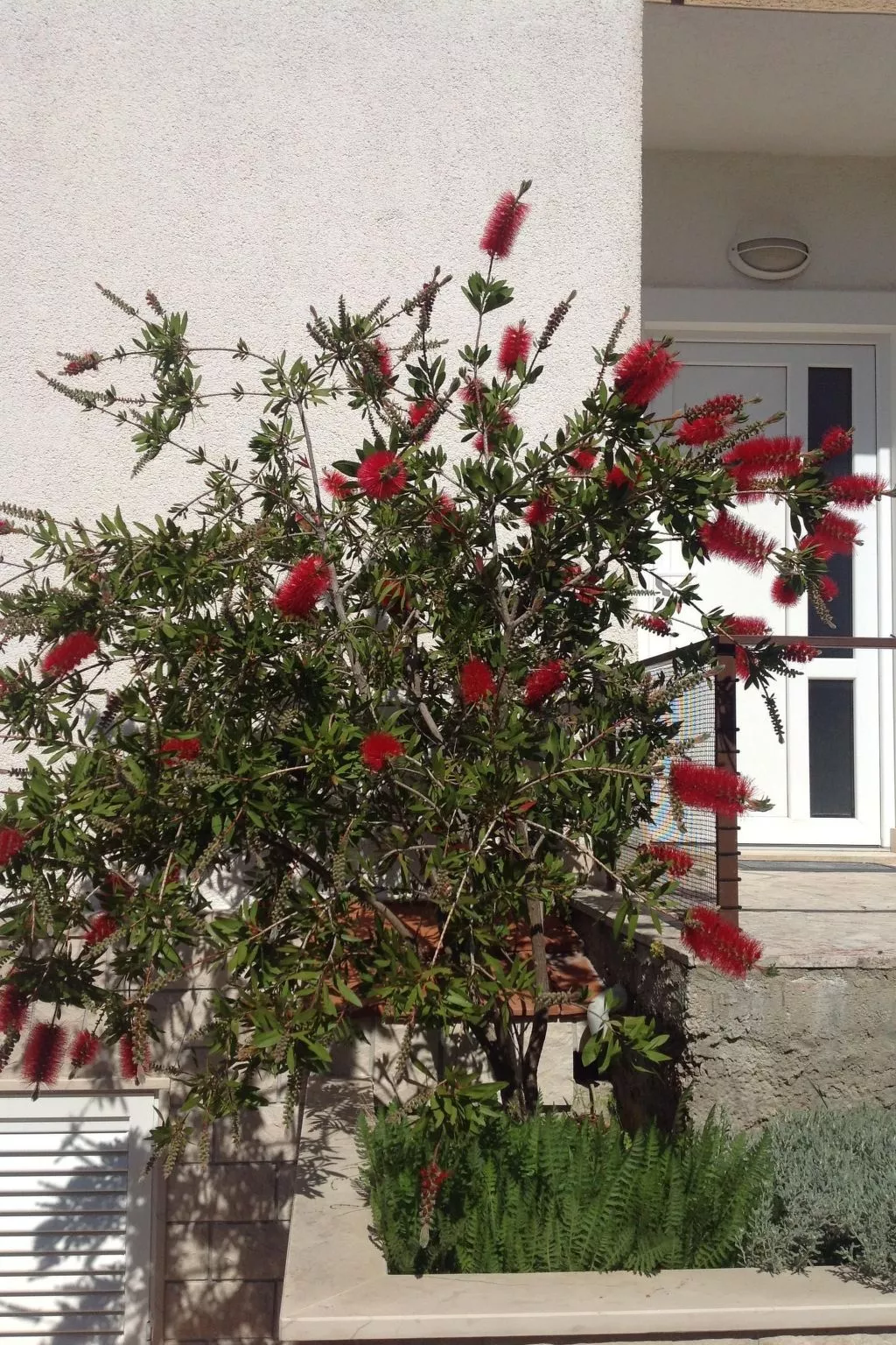 "Maya 1" mit Blick auf das Wasser-Image-tags.info