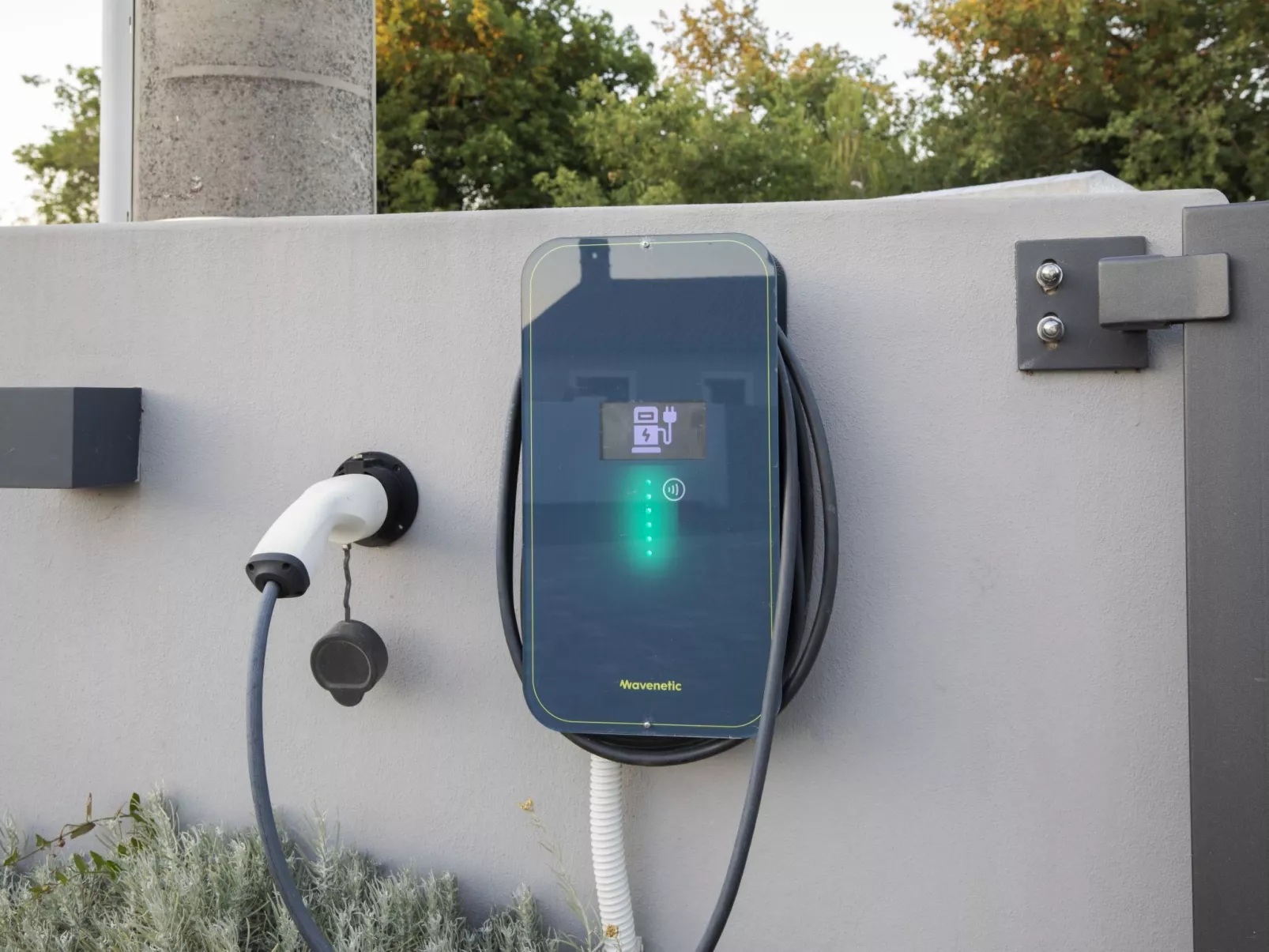 Villa Barbara-Buiten