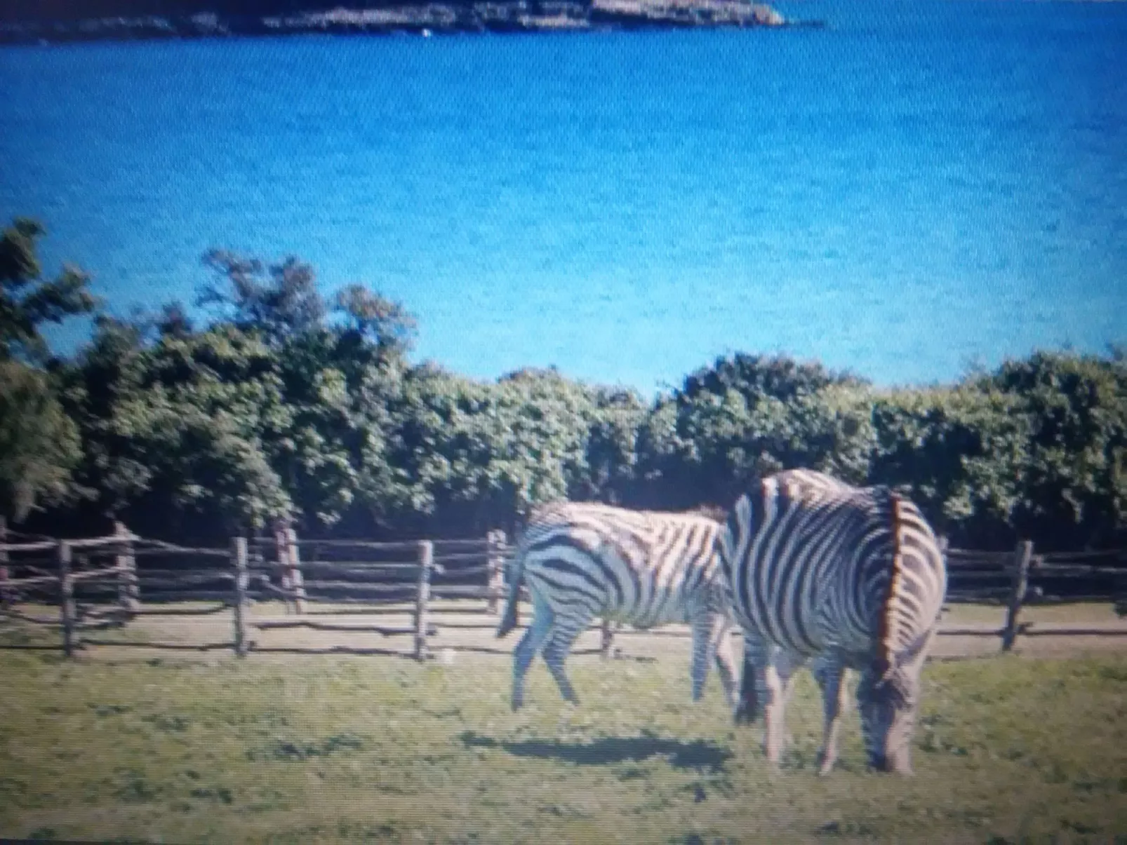 Wohnung "MaVeRo" direkt am Strand-Buiten