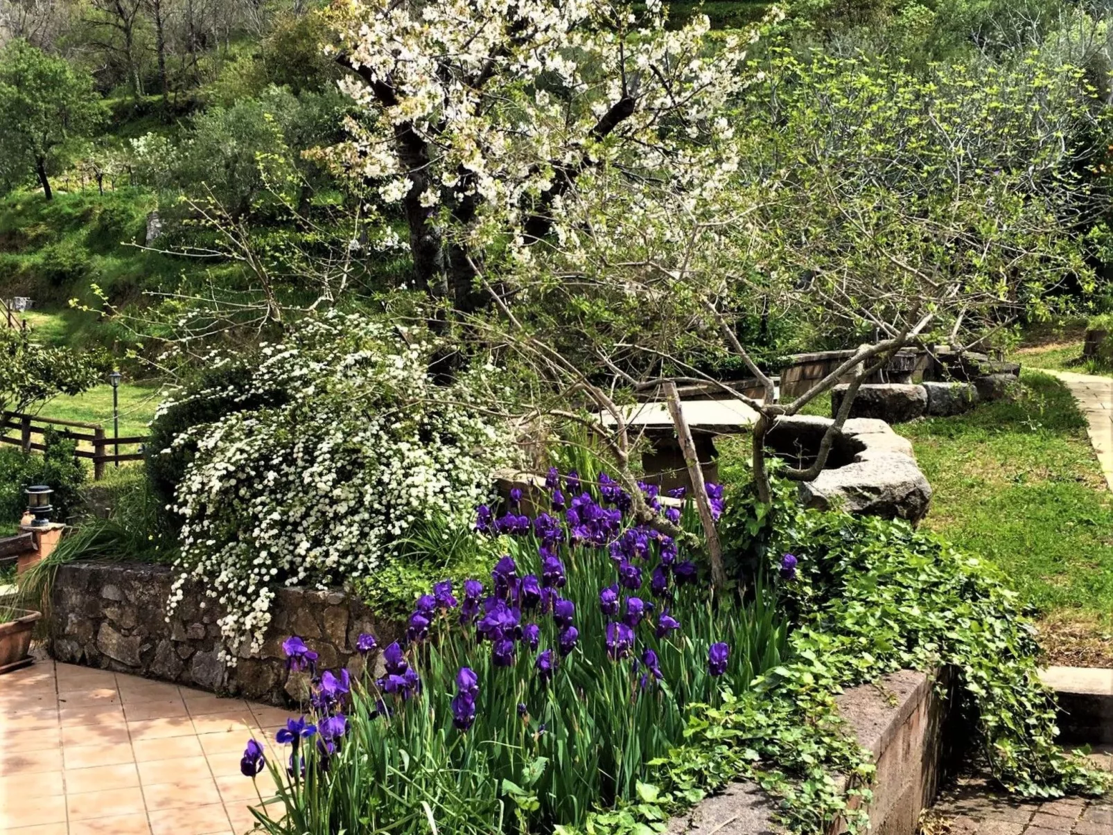 Granatapfel-Wohnung-Buiten