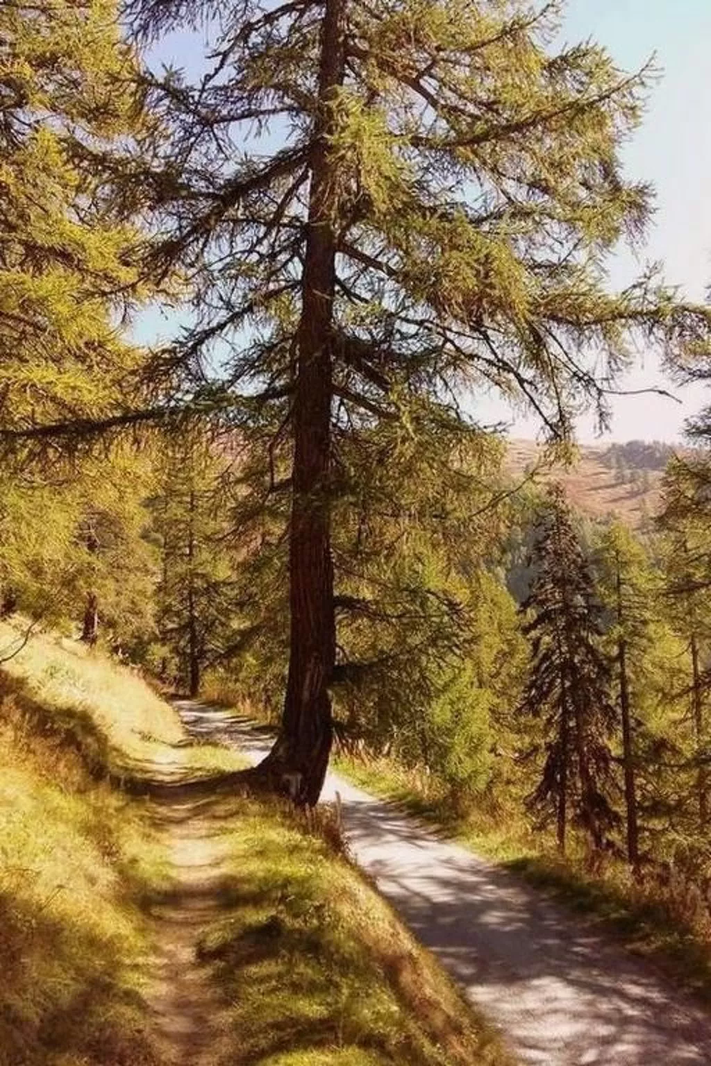 Chalet Angelika-Buiten